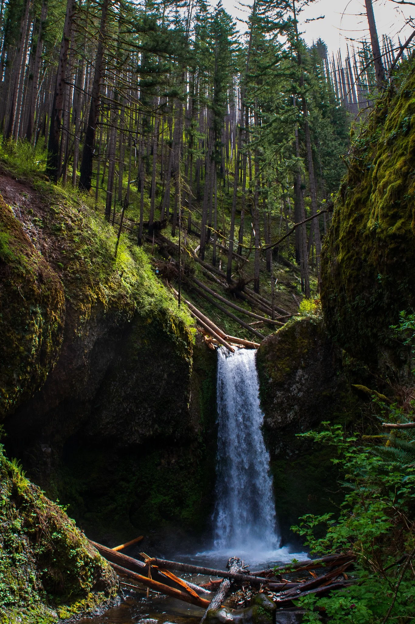 DSC_0153.jpg