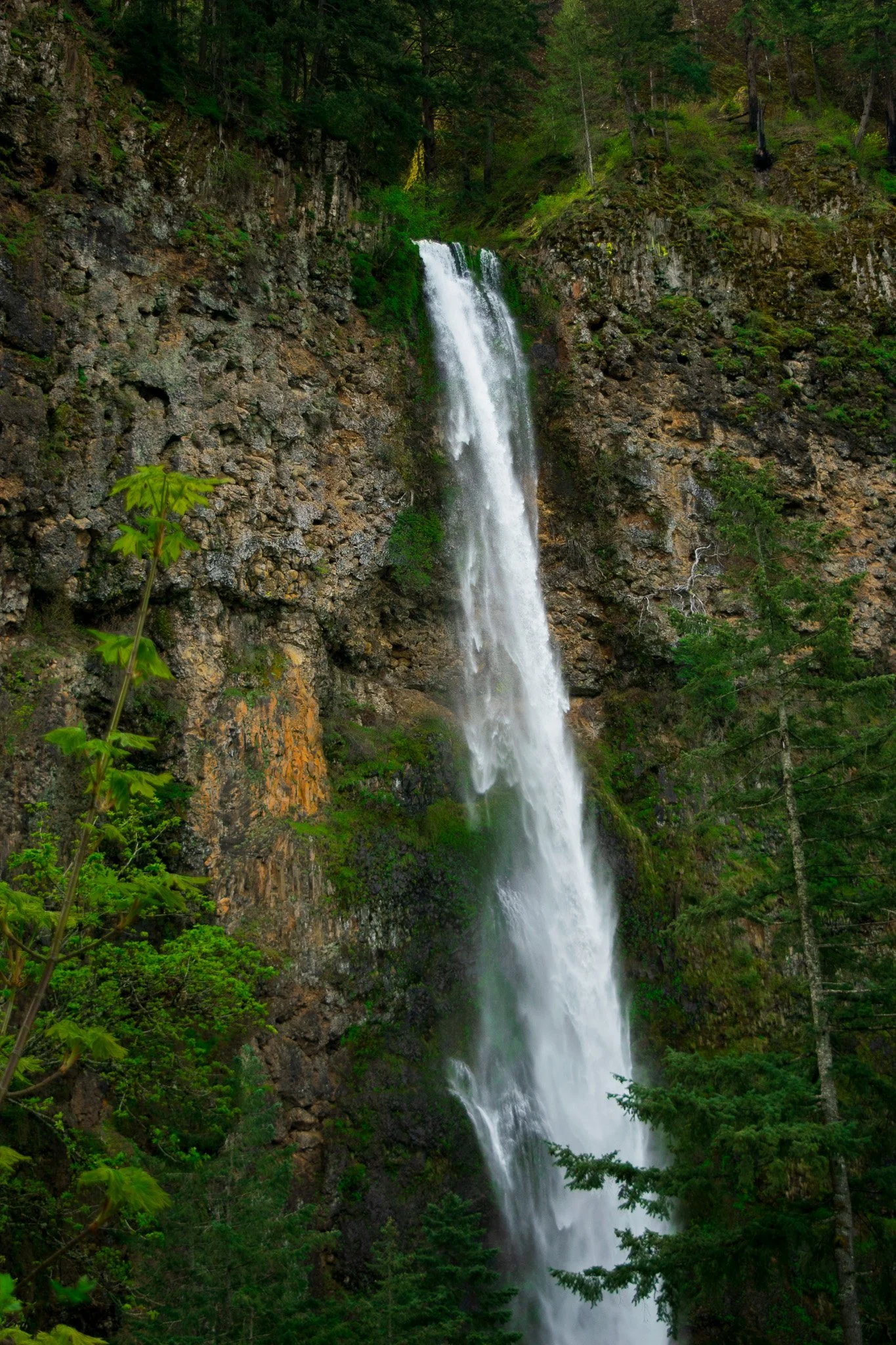 DSC_0108.jpg