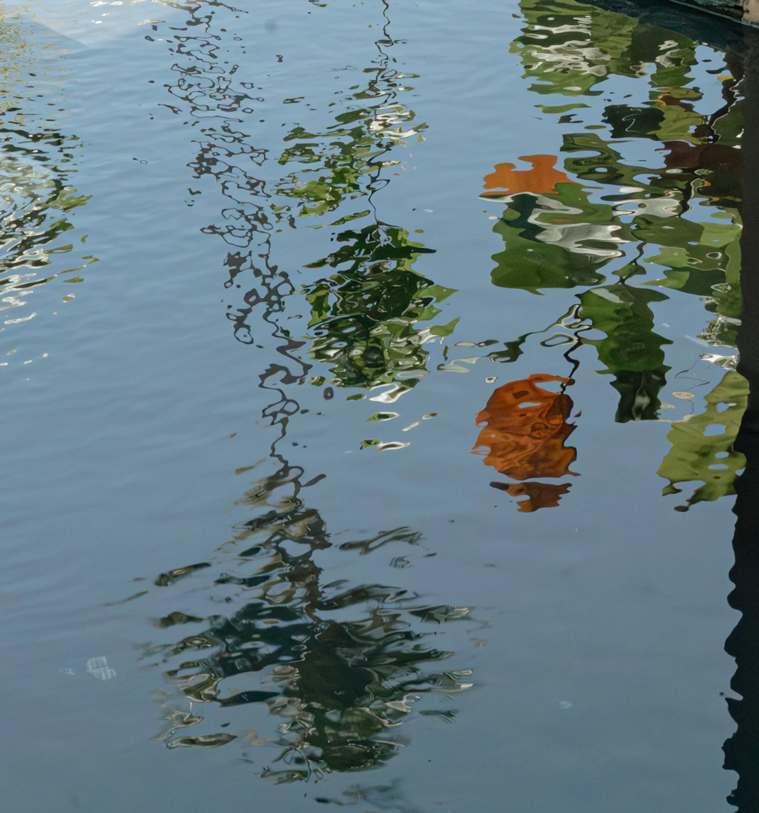 Reflections of green and orange leaves on water surface with ripples.