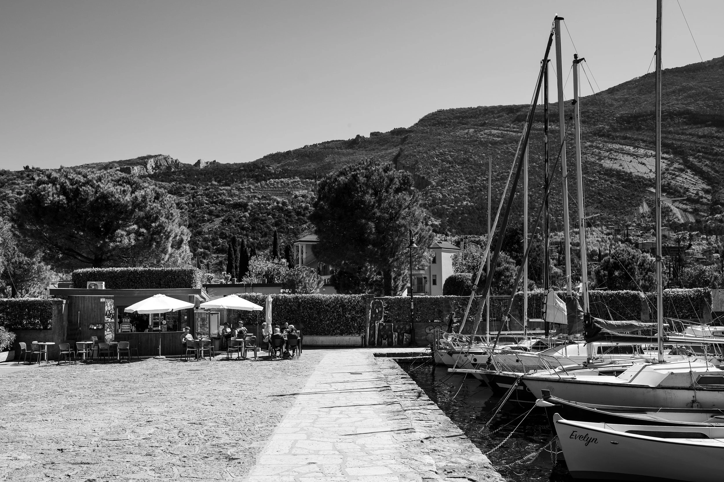 DSC_7098.jpg