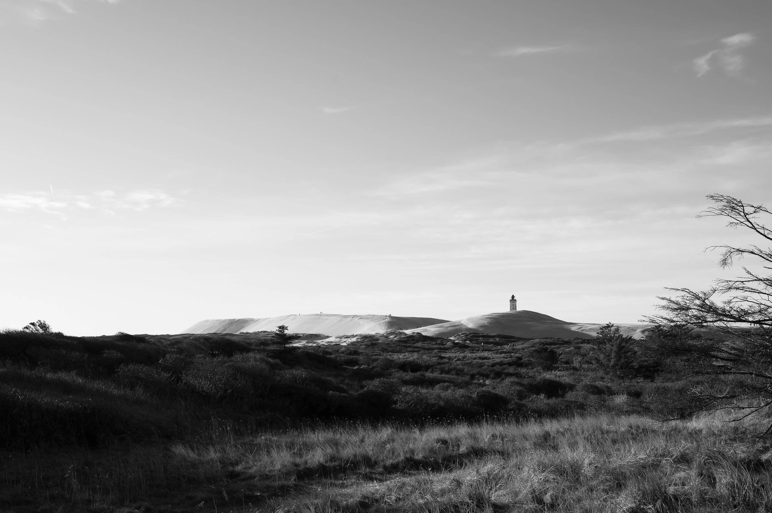 DSC_5971.jpg
