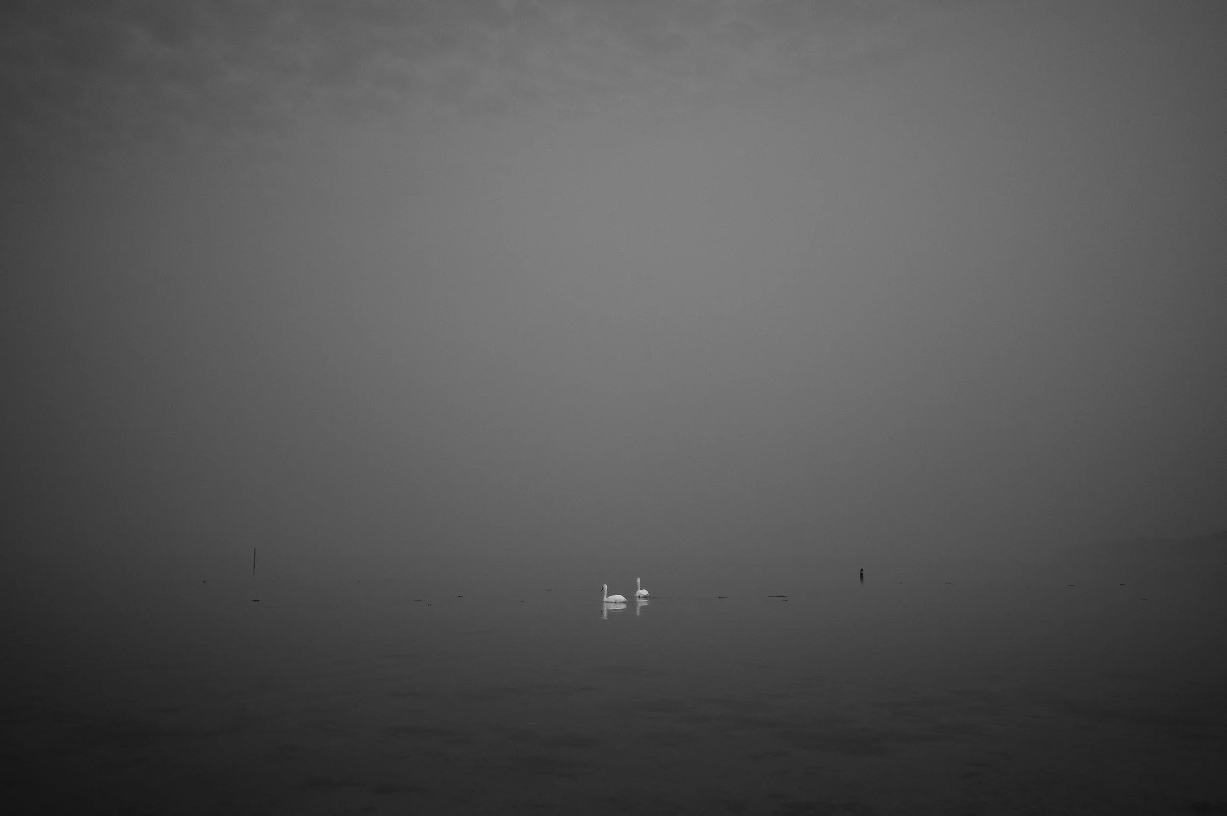 DSC_6704.jpg