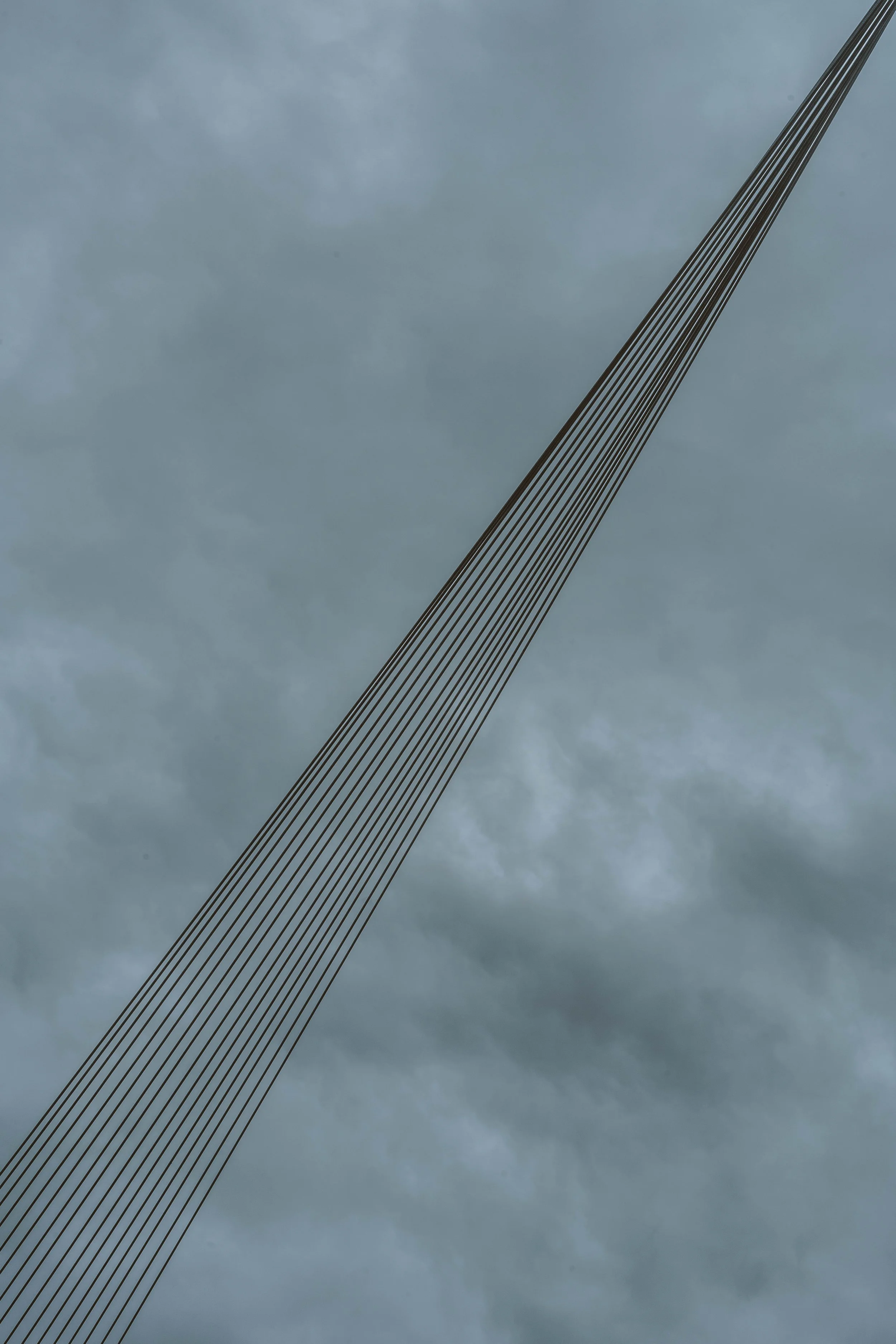 DSC01602.jpeg
