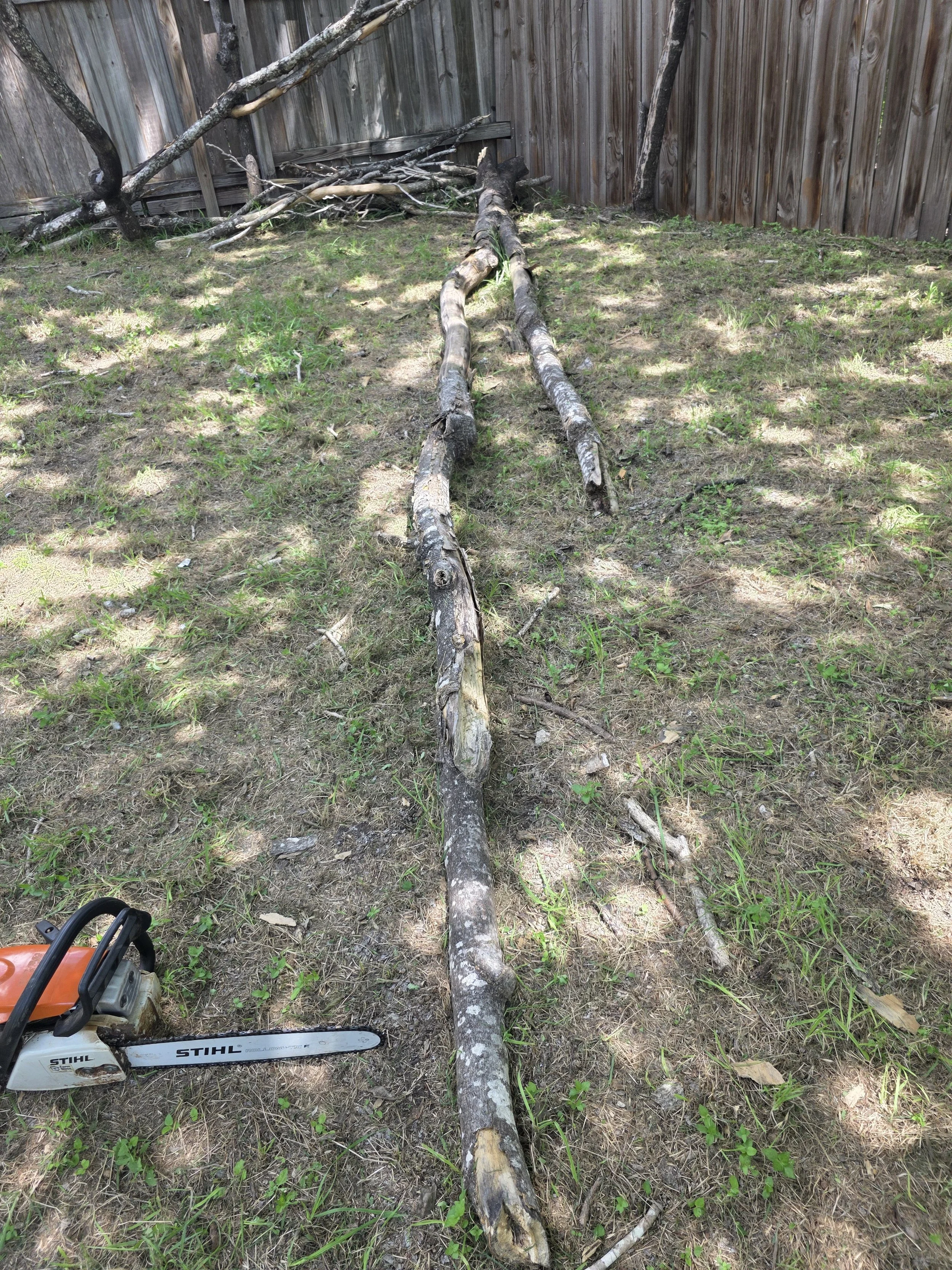 Fallen tree branch lying on grass in a backyard, with a wooden fence in the background and a chainsaw at the bottom left corner.