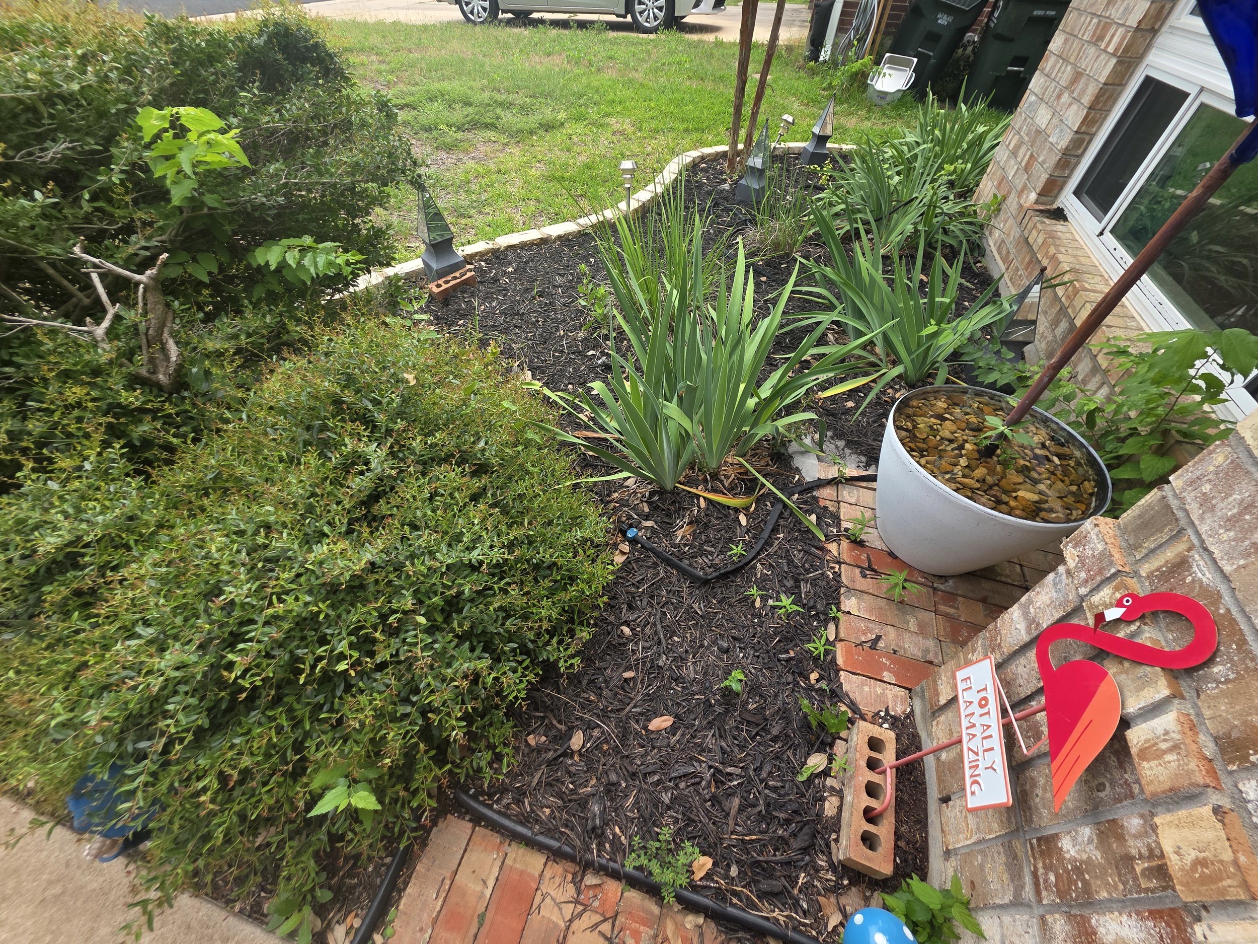 A small garden bed with green plants, mulch, and decorative lamps running along the edge of a brick house. There are parked cars visible in the background and a sign with the text 'TOTAL FLAMAZING' on the sidewalk.