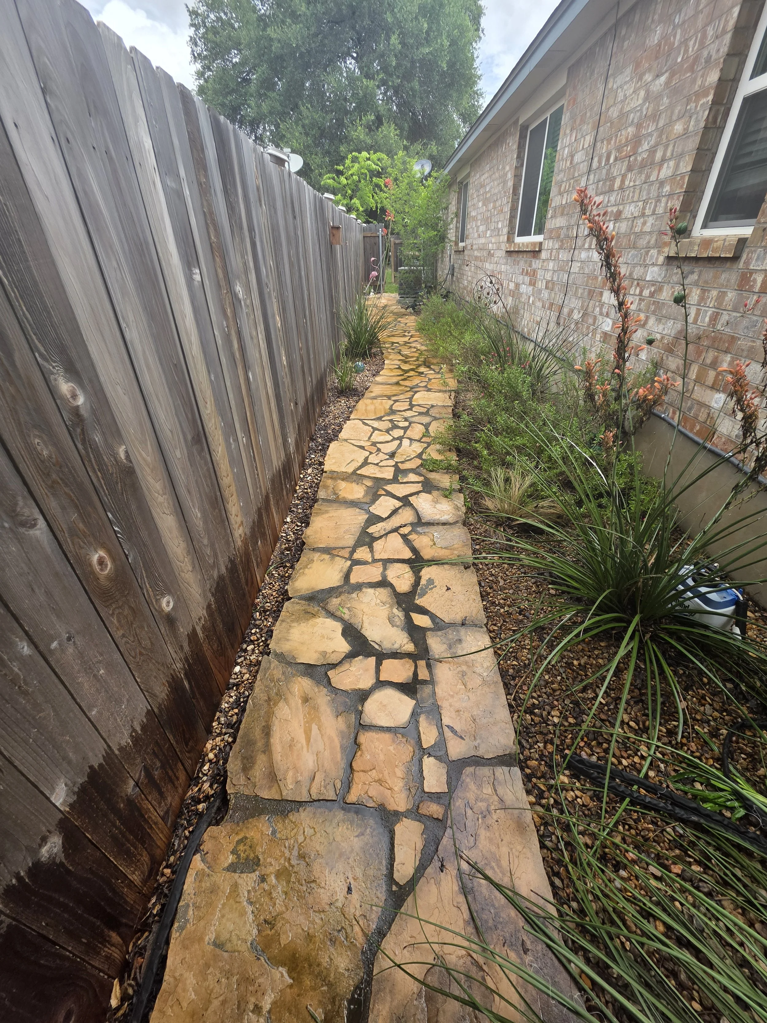 A narrow stone pathway runs alongside a brick house with two windows. To the left, a tall wooden fence with a worn finish separates the yard from neighboring property. On the right, various green plants and some with orange flowers grow along the edge of the house. In the background, a lush deciduous tree and some tropical plants are visible under an overcast sky.