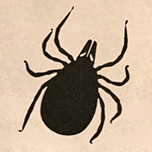 Tick Talk 