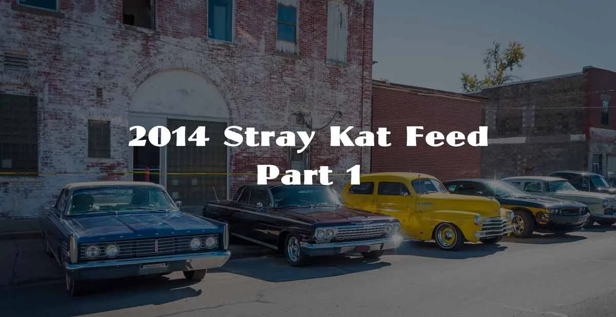 2014 Stray Kat Feed Part 1