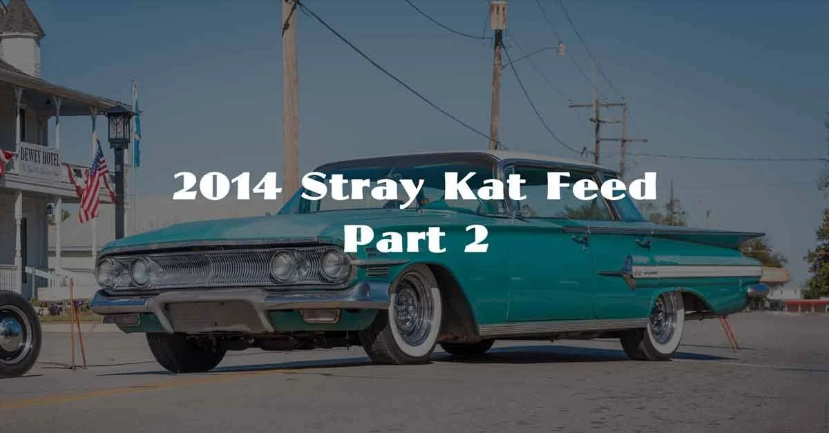 2014 Stray Kat Feed Part 2