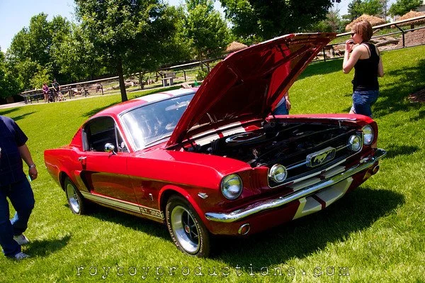 Event Coverage: 2013 Rolling Hills Wildlife Adventure Father's Day Show Pt.2