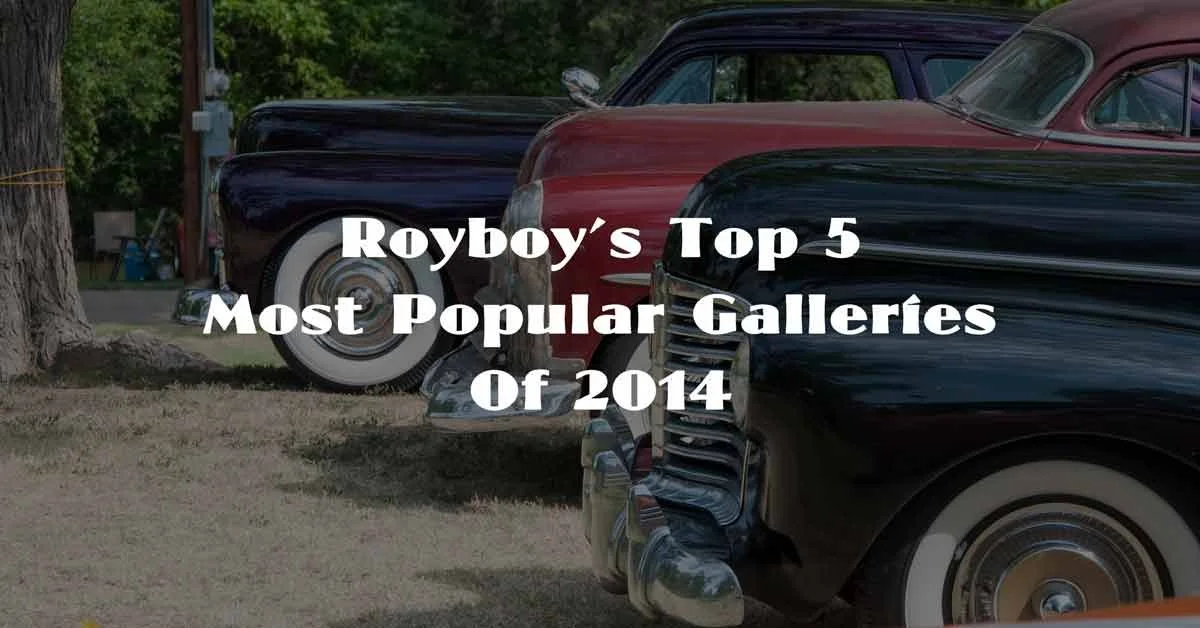 Royboy's 5 Most Popular Photo Galleries of 2014