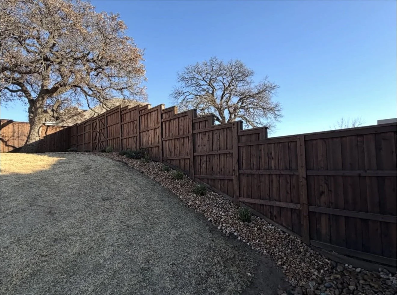 Fence + Landscape