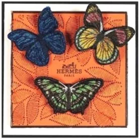 Petite Orange Hermes background with embroidered butterflies framed