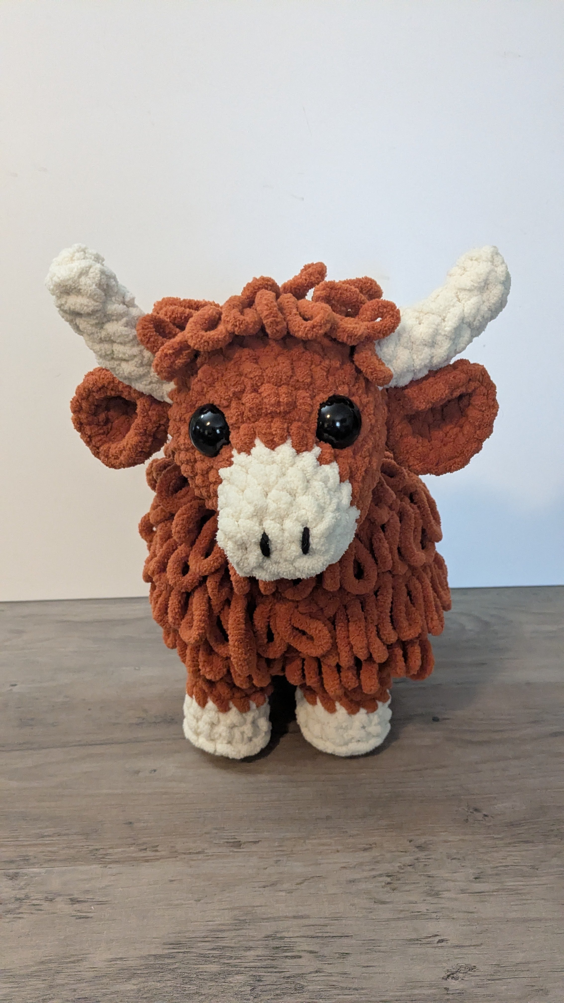 Highland Cow