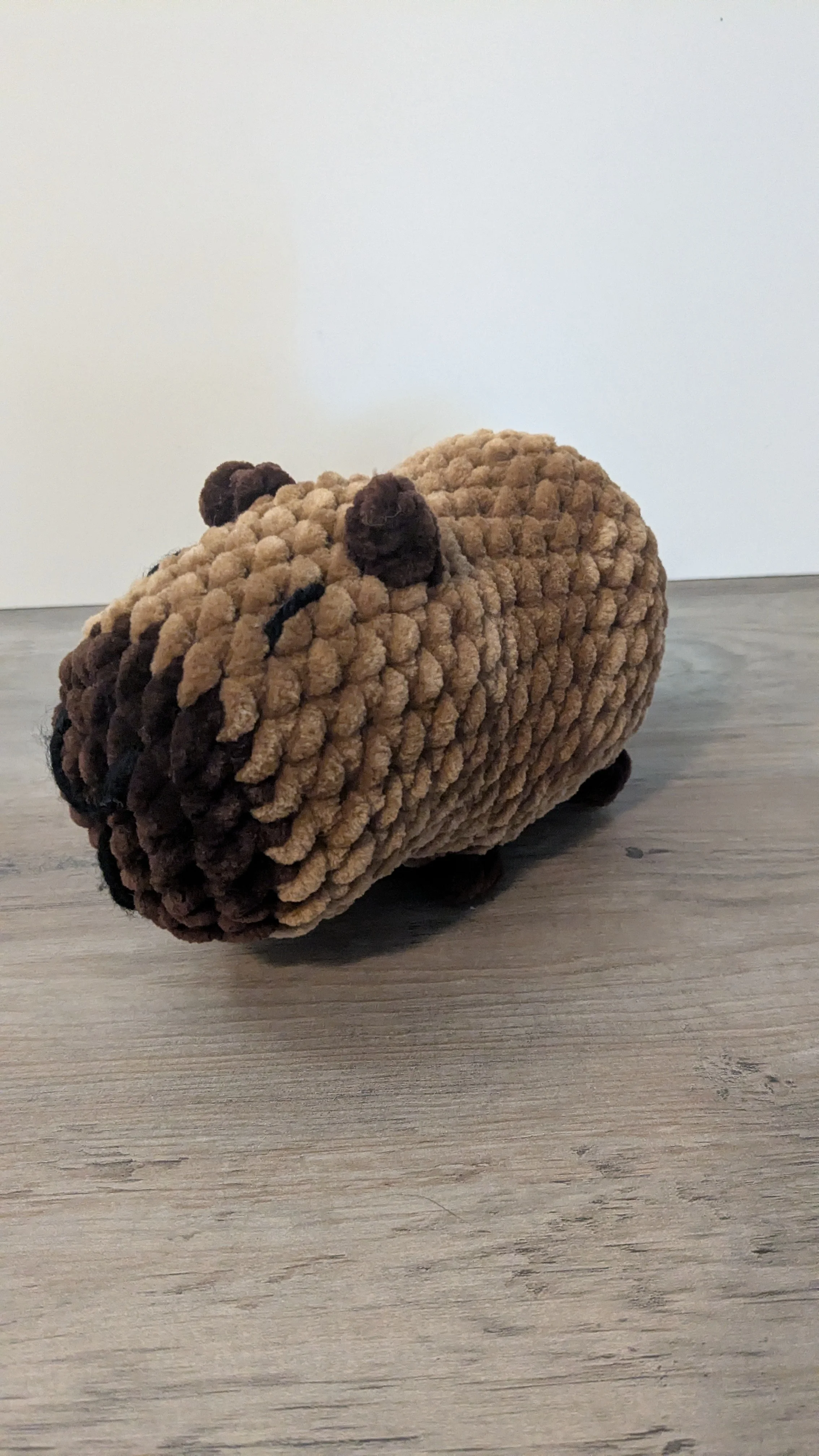 Cabybara