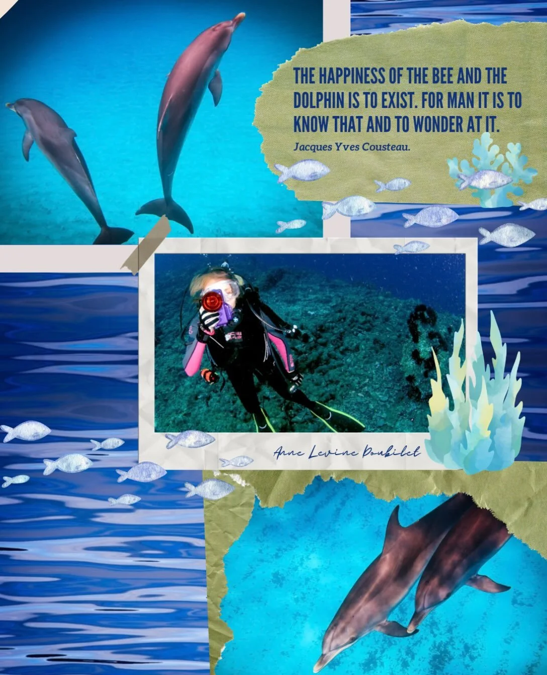 &ldquo;The sea, once it casts its spell, holds one in its net of wonder forever.&rdquo; Jacques Yves Cousteau. Join me in underwater wonder with dolphins and corals and fishes. My book GEO GRAPHIC available on Amazon link 🔗 in bio.

#geographic 
#un