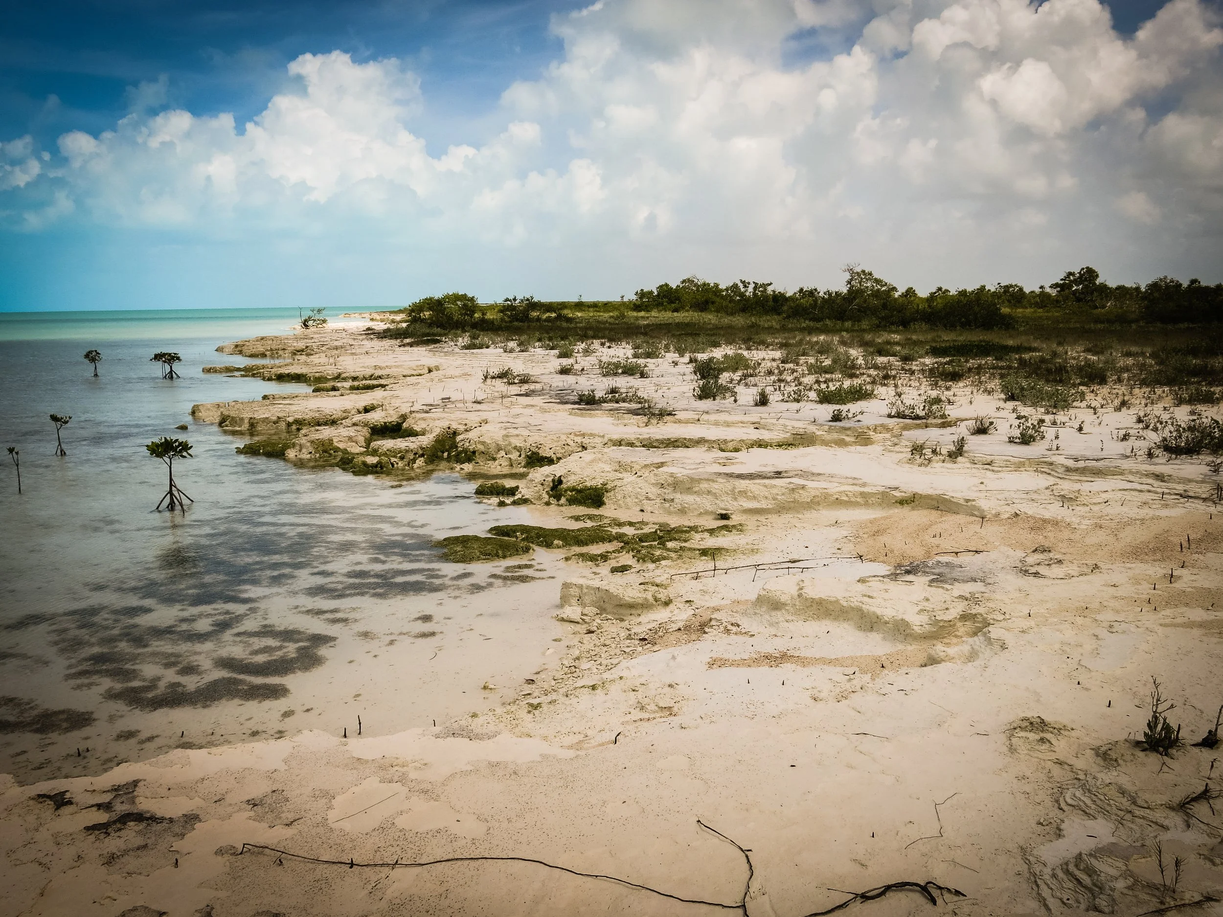  BAHAMAS Andros Island remote westside with white clay mud   