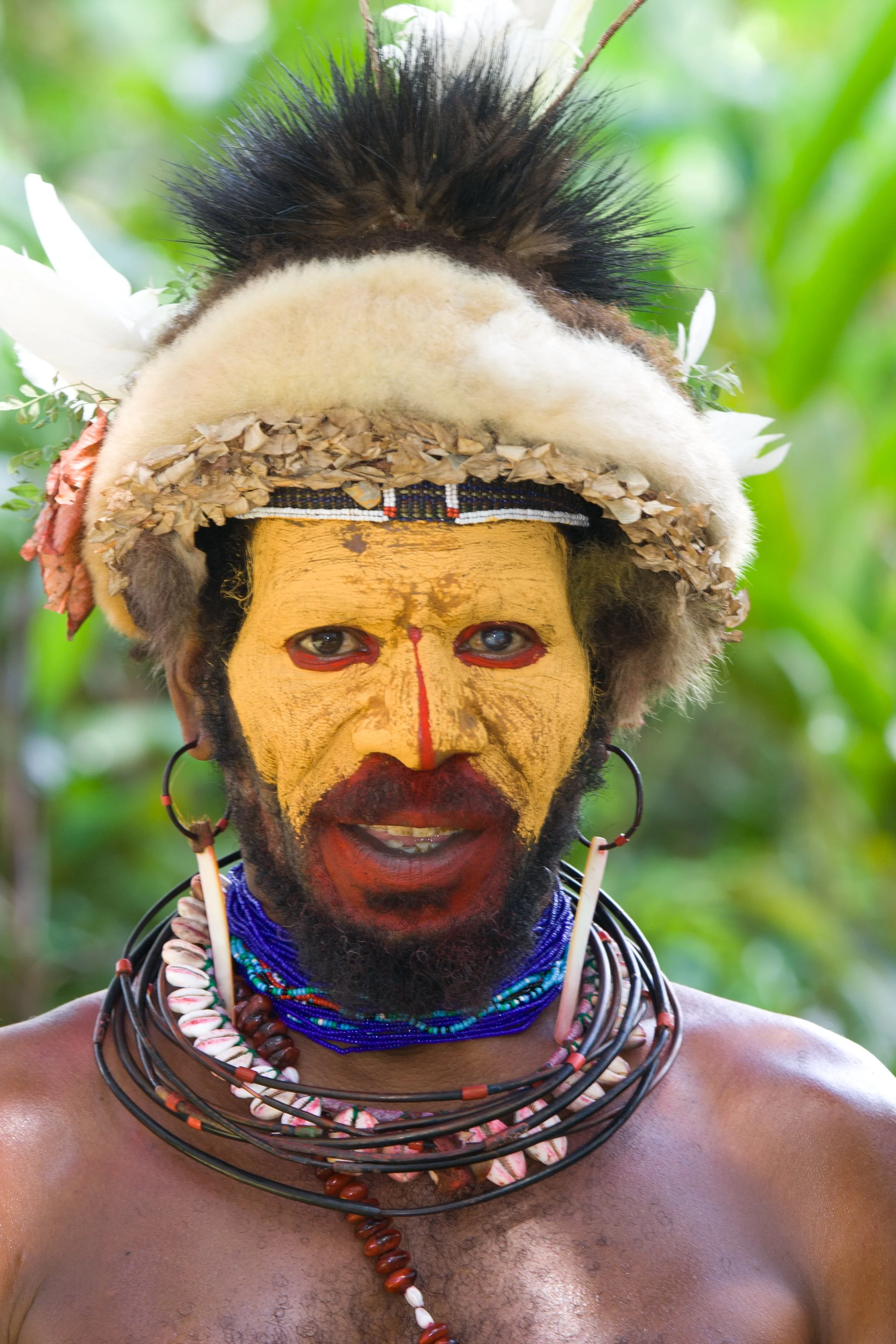 PNG  a  Huli Wigman with yellow face paint and ceremonial headdress   