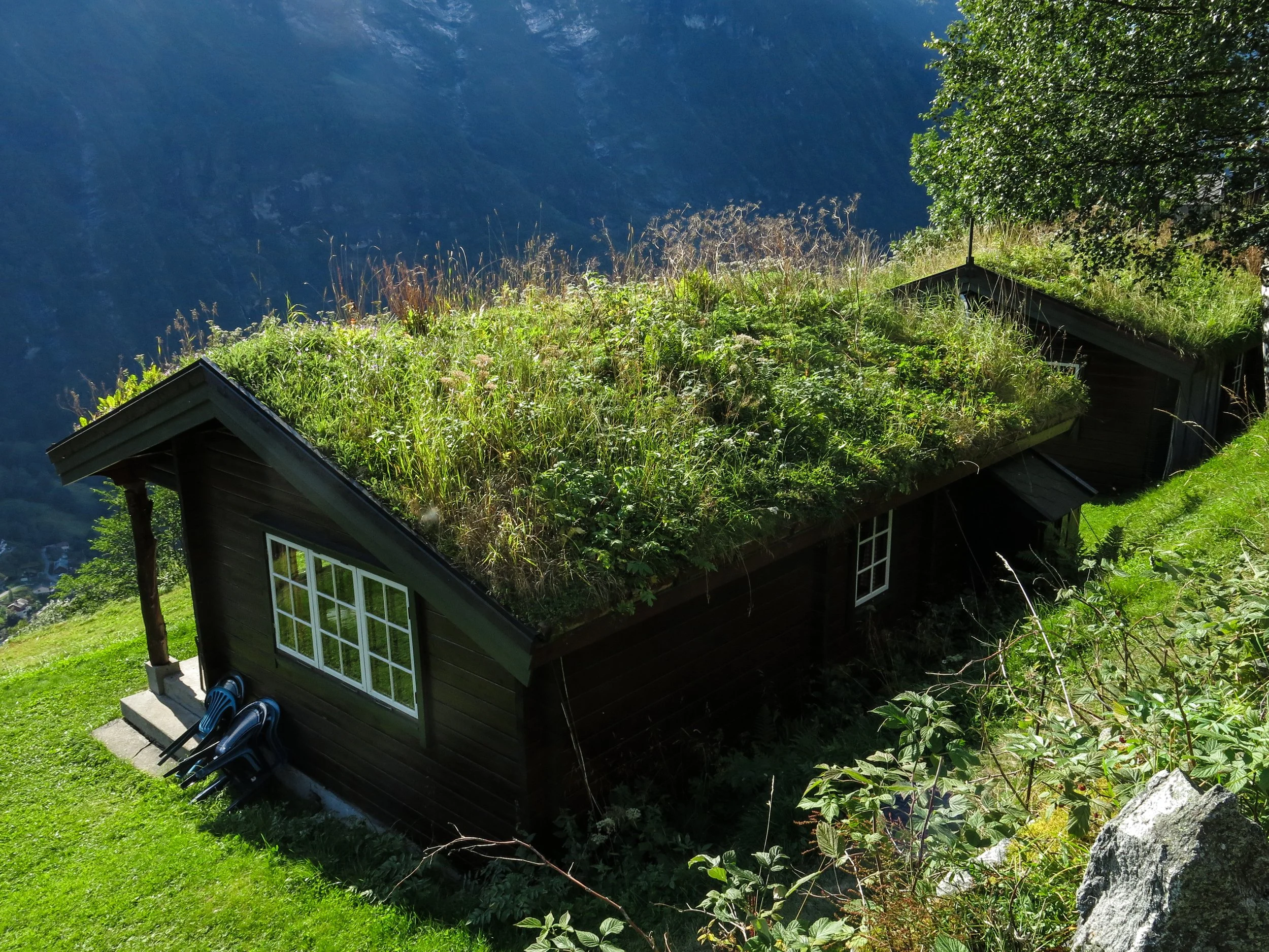NORWAY cottage with a grass covered roof on a steep mountainside overlooking a fjord