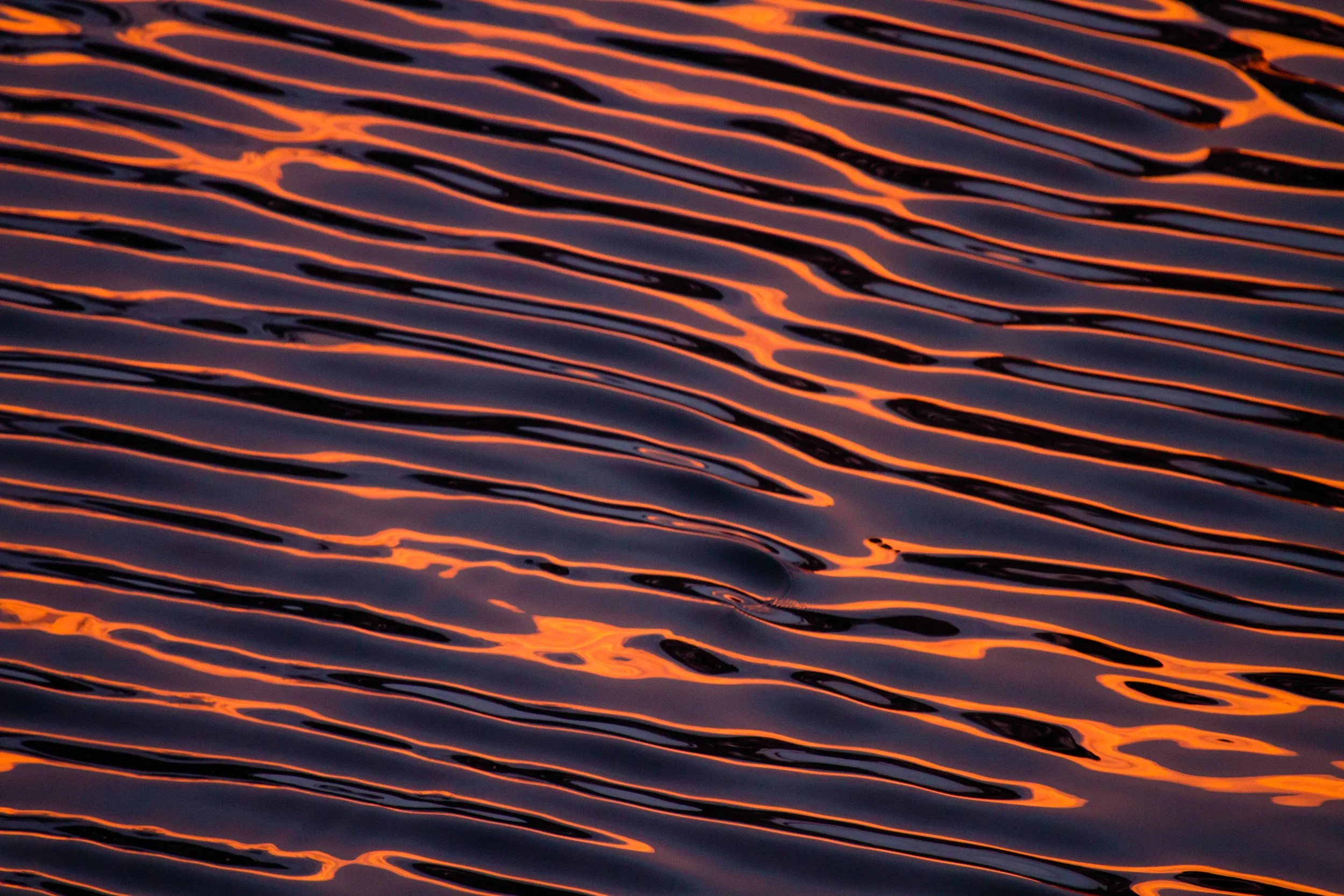 ANTARCTICA orange  water ripples  reflecting a remarkable sunset
