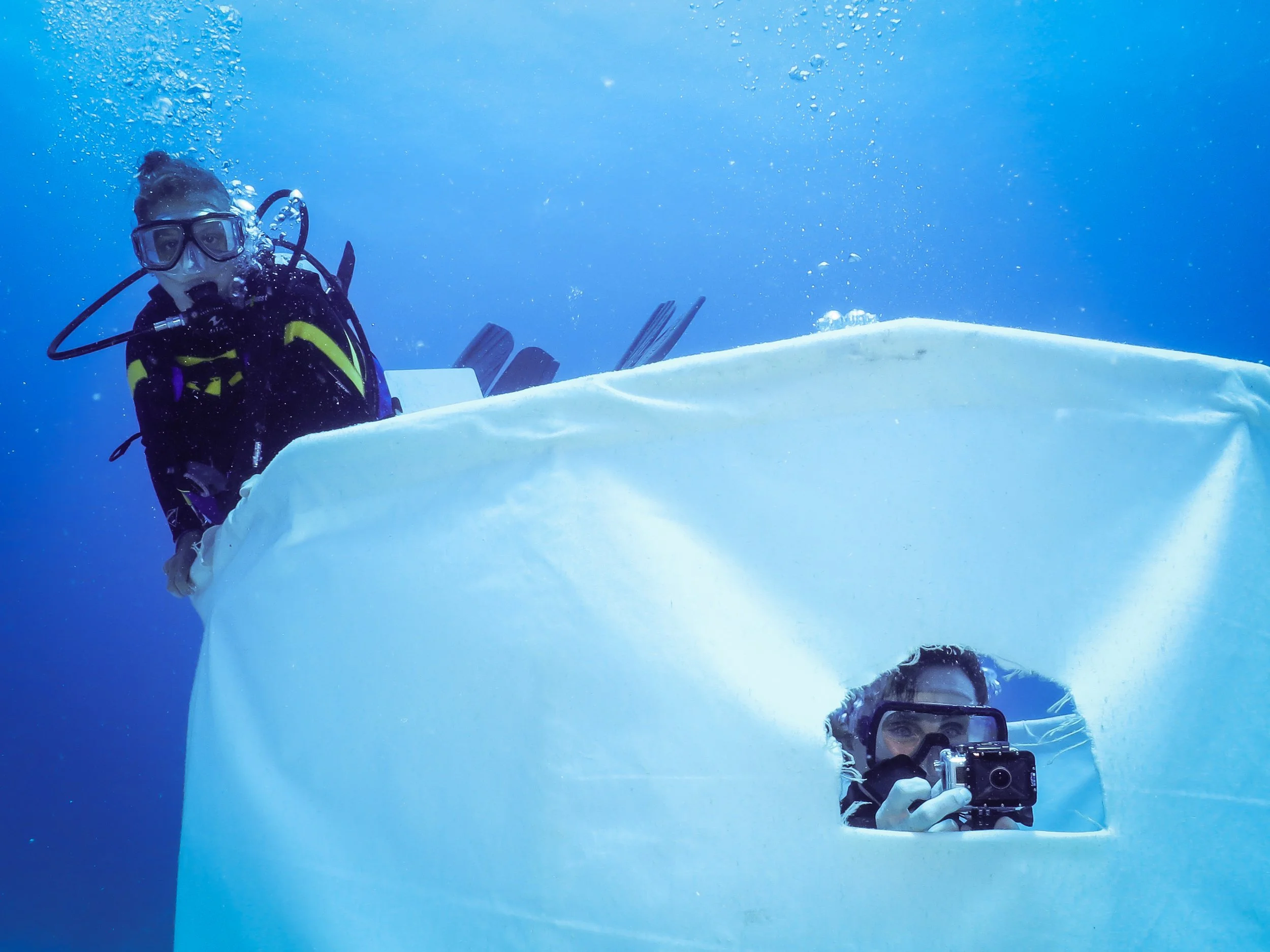 BAHAMAS we built an eel blind to observe and film the garden eel colony off Andros Island