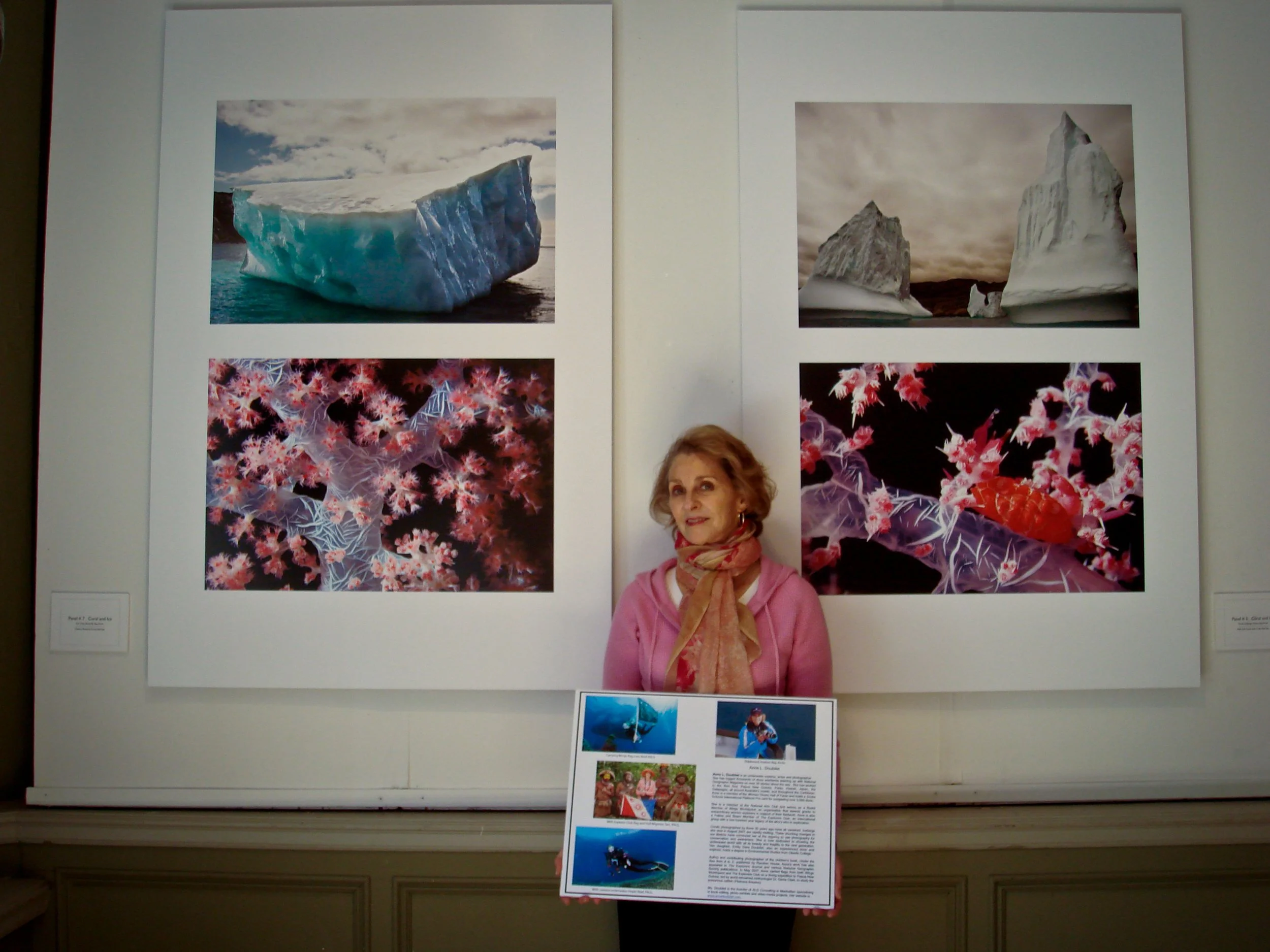NEW YORK CITY National Arts Club exhibit of my 4’ by 6’  Coral & Ice Panels  