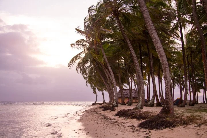 PANAMA hut in San Blas Islands nestled in palm trees brushed with ocean breezes