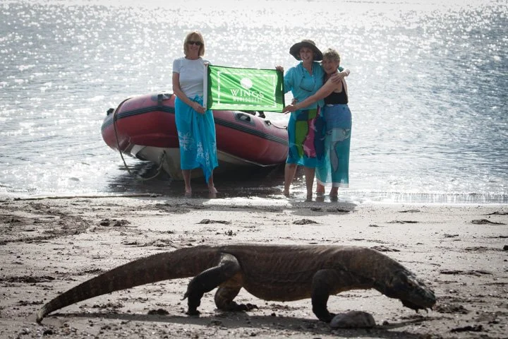KOMODO on the beach with a dragon and Wendy Benchley and Susy Waterman
