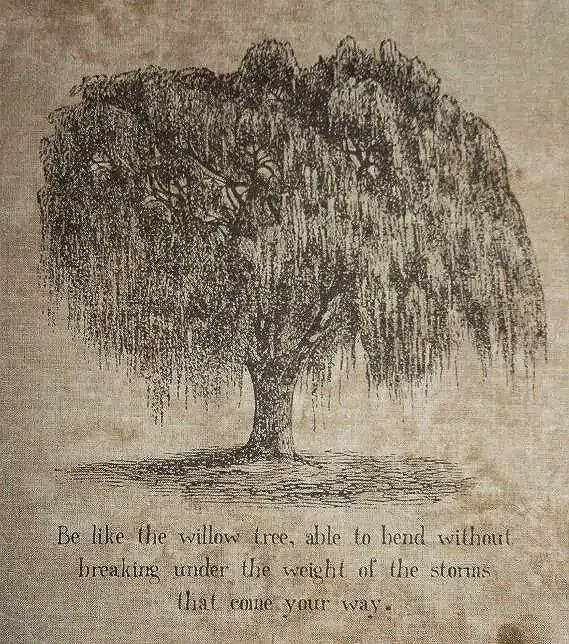 A sketch of a large willow tree with hanging branches, accompanied by a quote about resilience and flexibility.