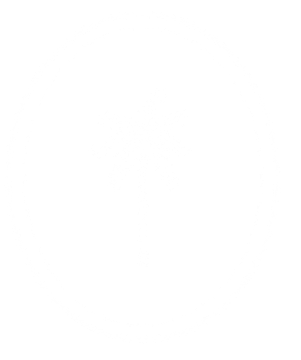 A logo featuring a white palm tree inside an oval with white outlines on a black background.