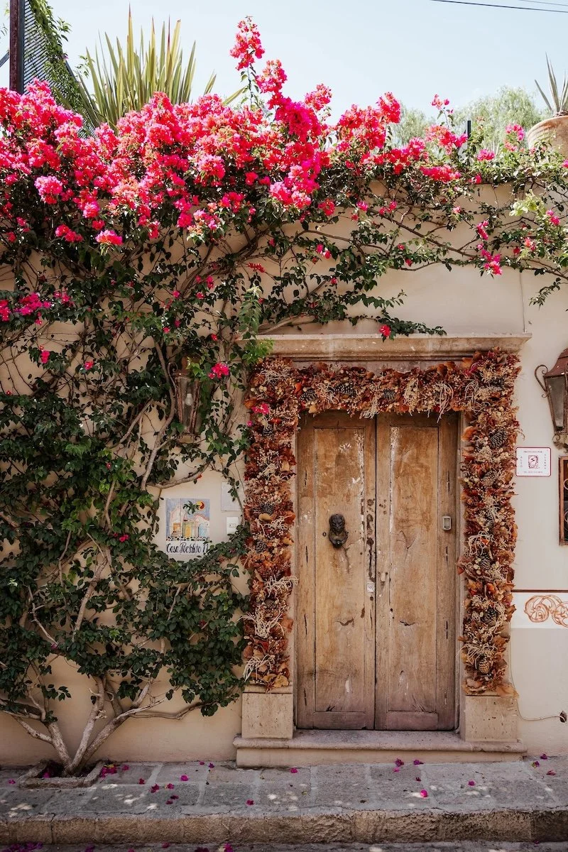 A rustic wooden door surrounded by a frame of dried pinecones and ornamental plants, with vibrant pink bougainvillea flowers climbing above. The door is set in a cream-colored wall with a small tiled sign and a vintage lantern on the right.