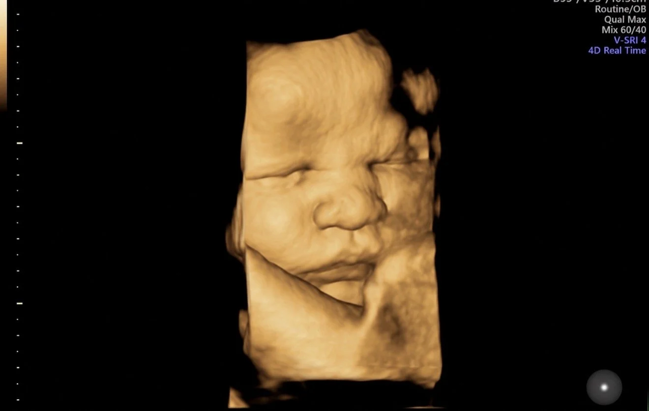 33-40 weeks