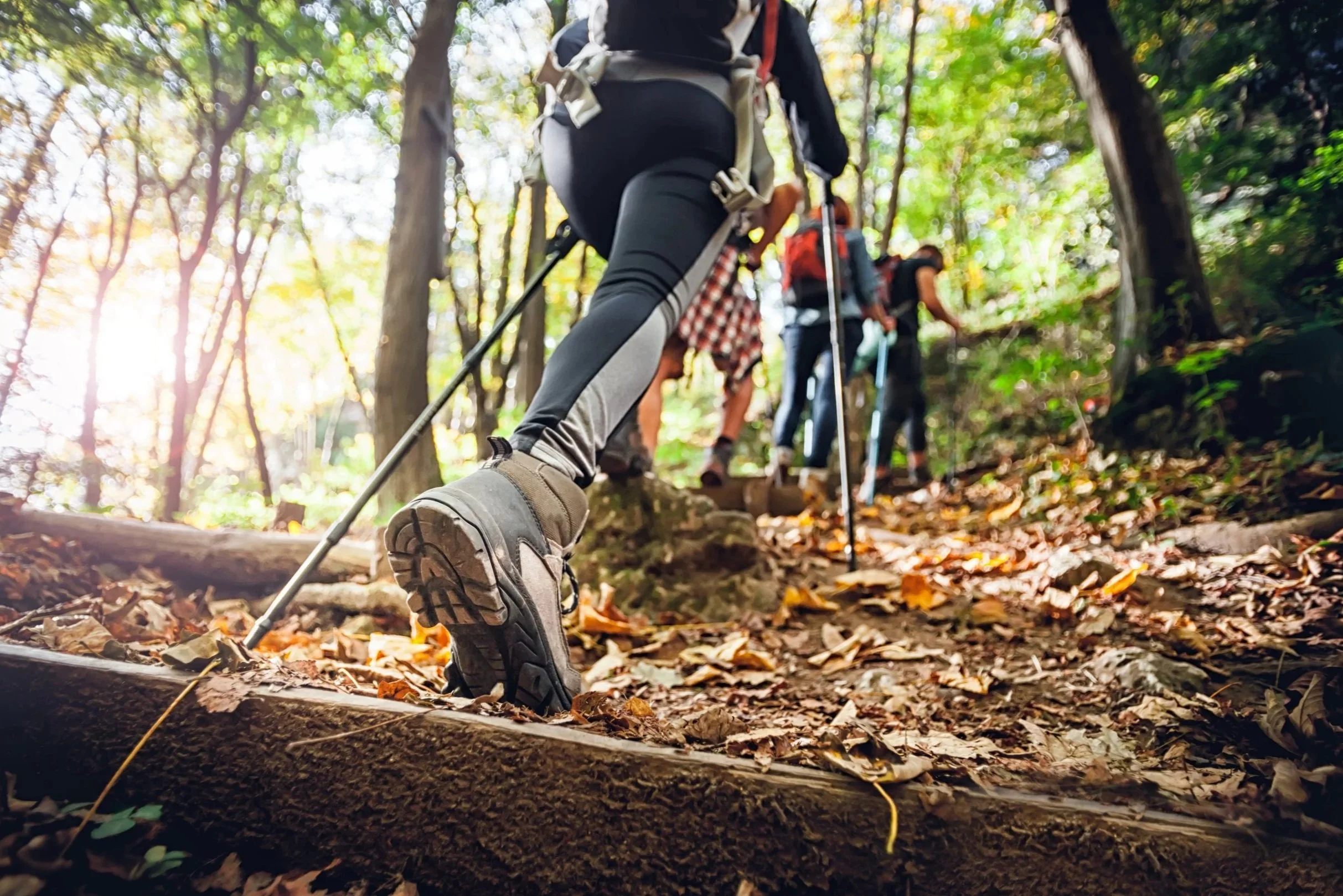 AdobeStock_242166907.jpg