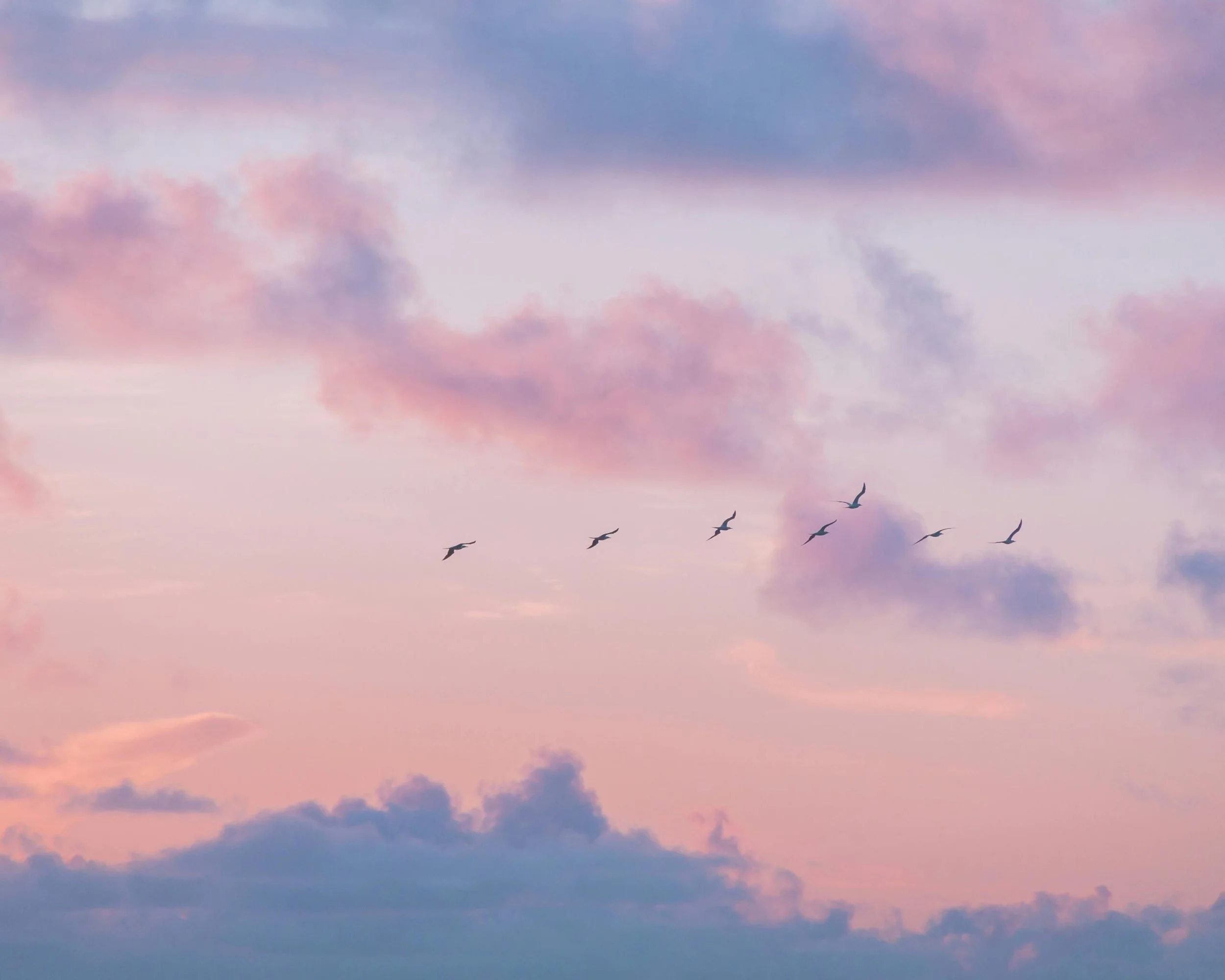 Navigating Anxiety and Worry in Uncertain Times