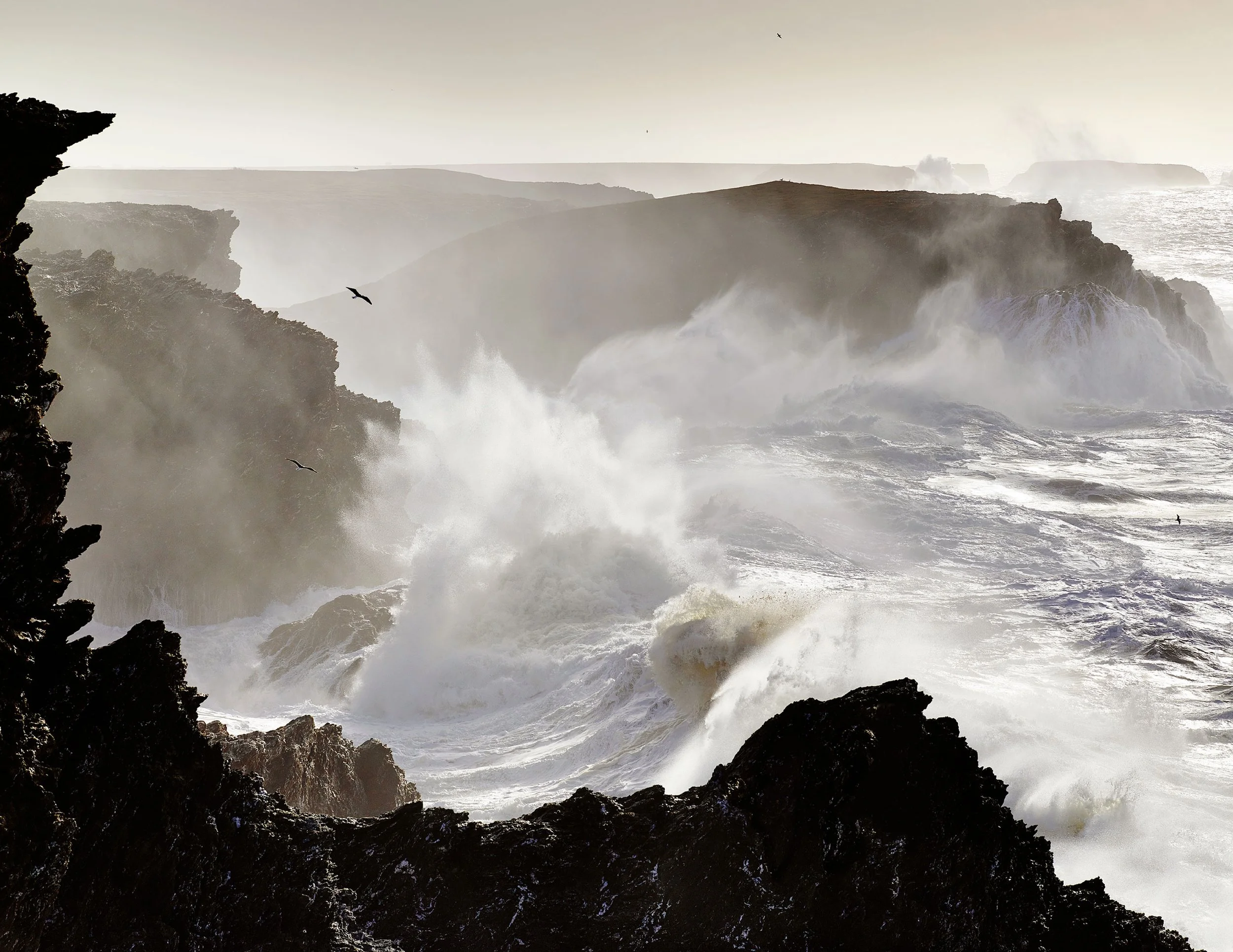 Vagues se brisant contre des rochers noirs à la côte, avec des falaises en arrière-plan et des deux oiseaux volant au-dessus de l'océan.