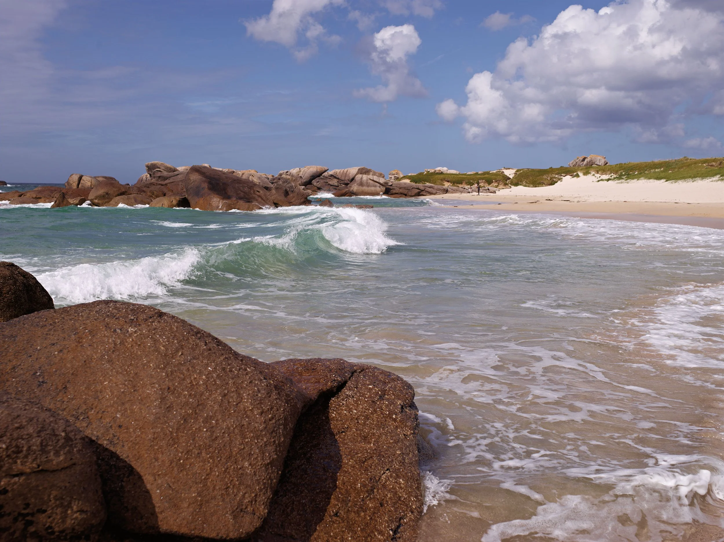 CF016823-1.jpg