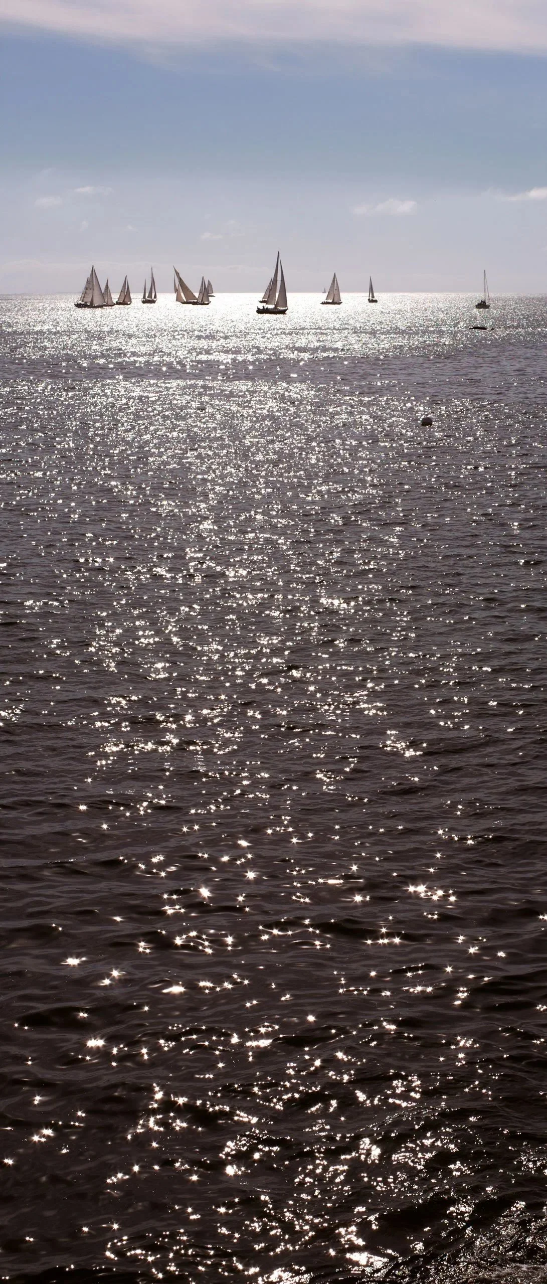 CF016489.jpg