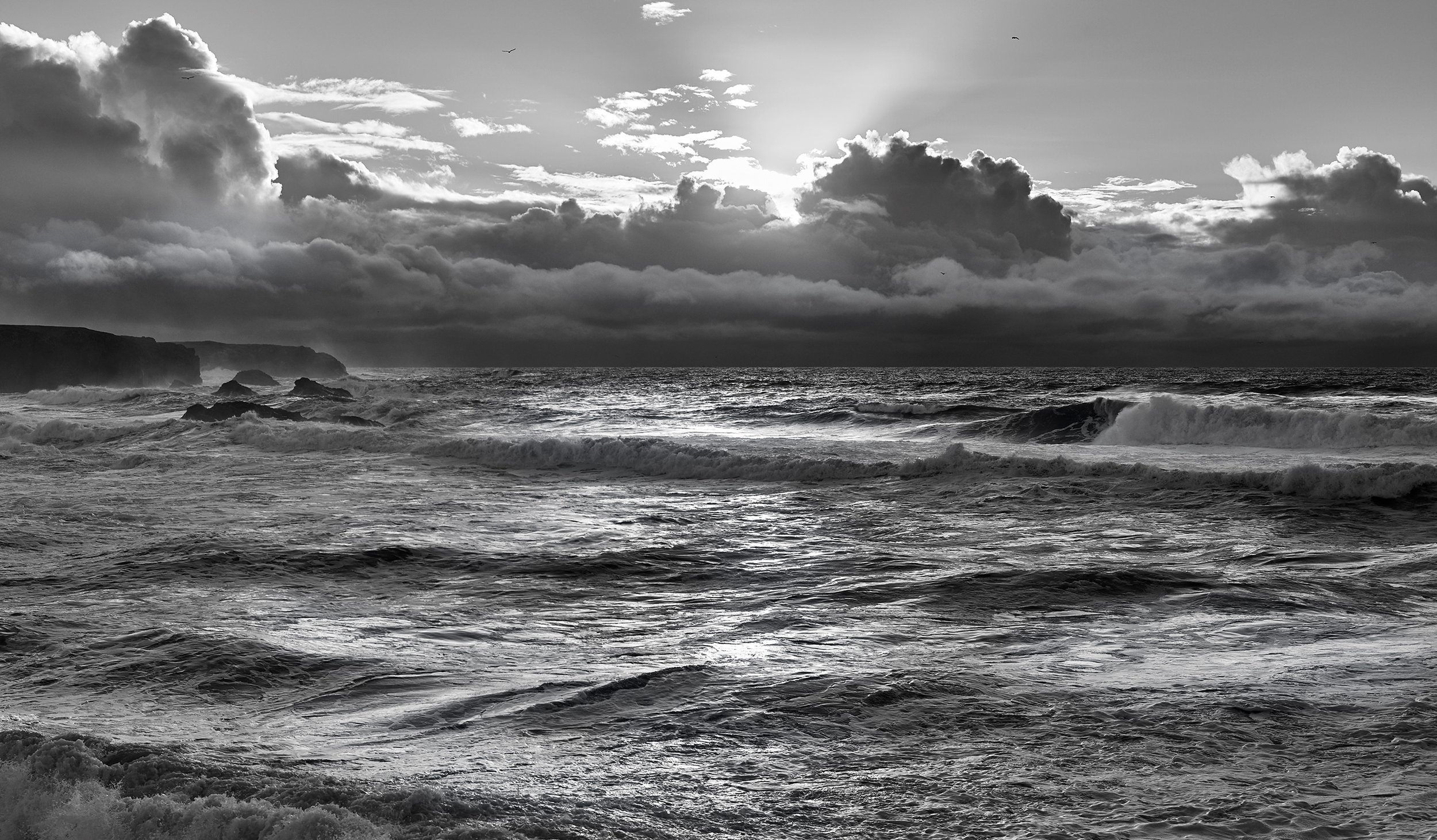 CF008580-1.jpg