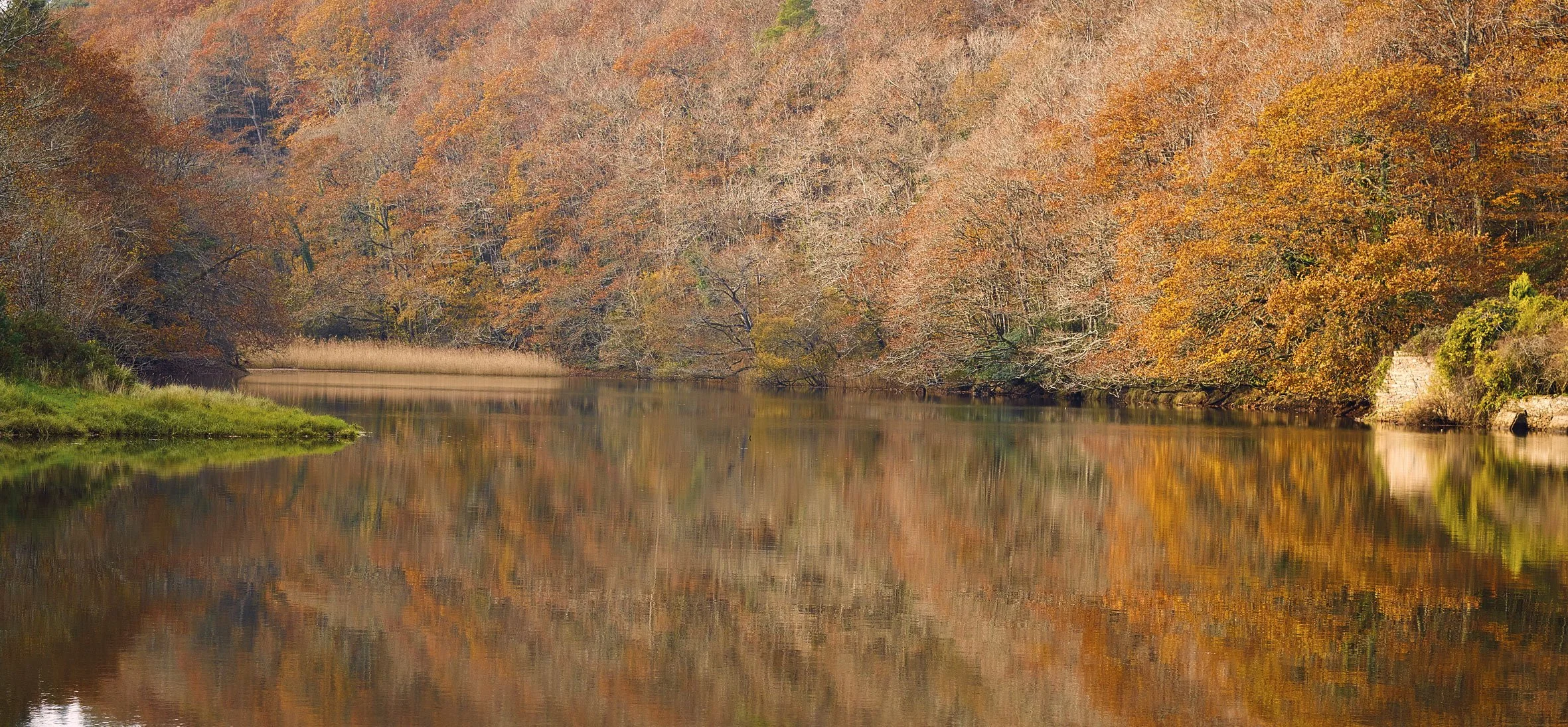 CF001262-1.jpg