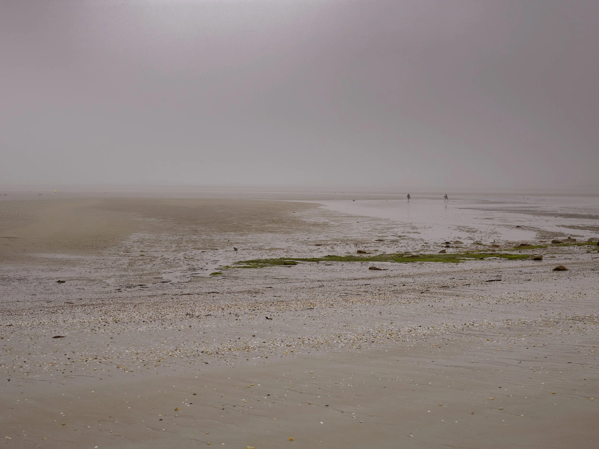 P0006552.jpg