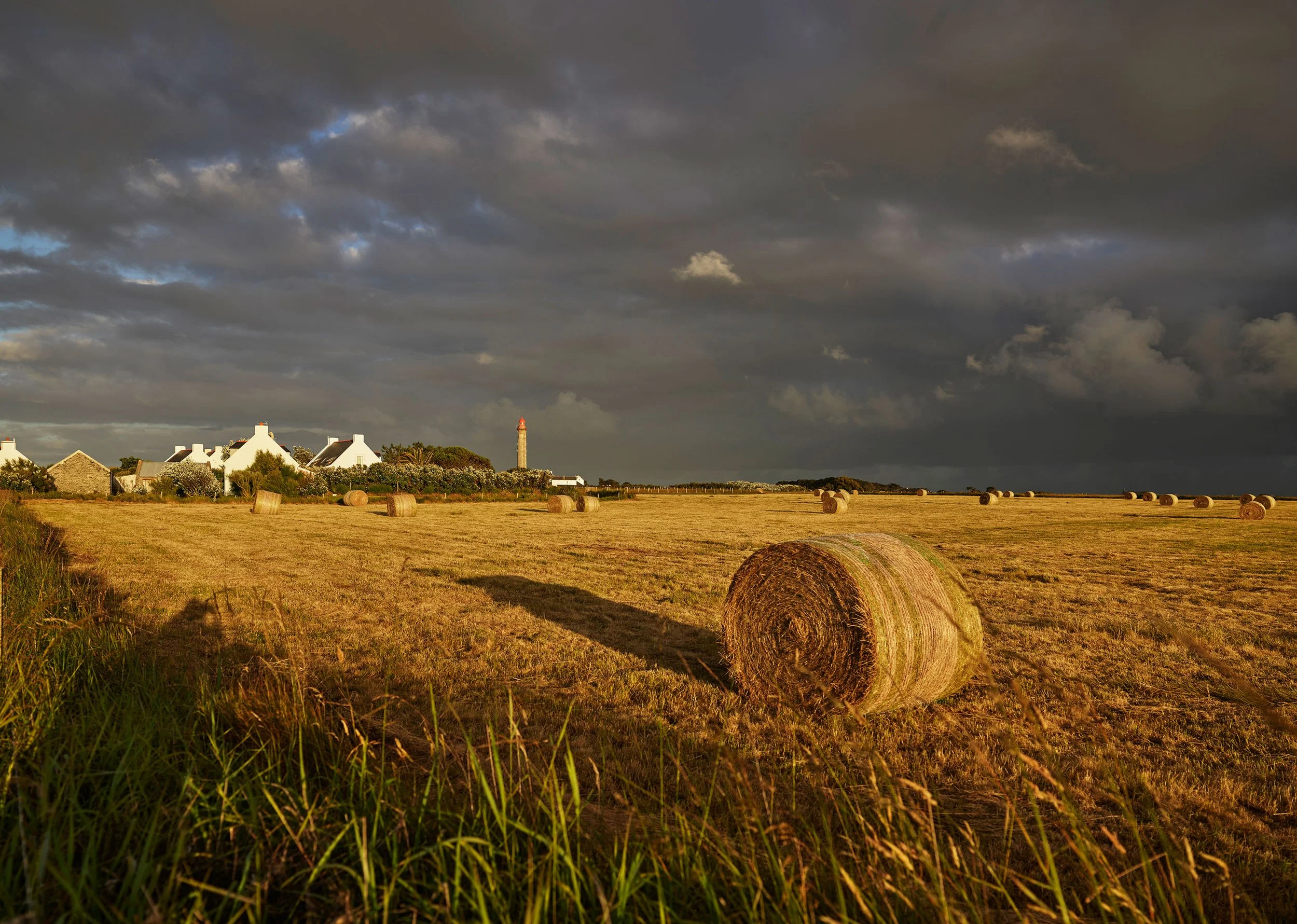 P0000497.jpg