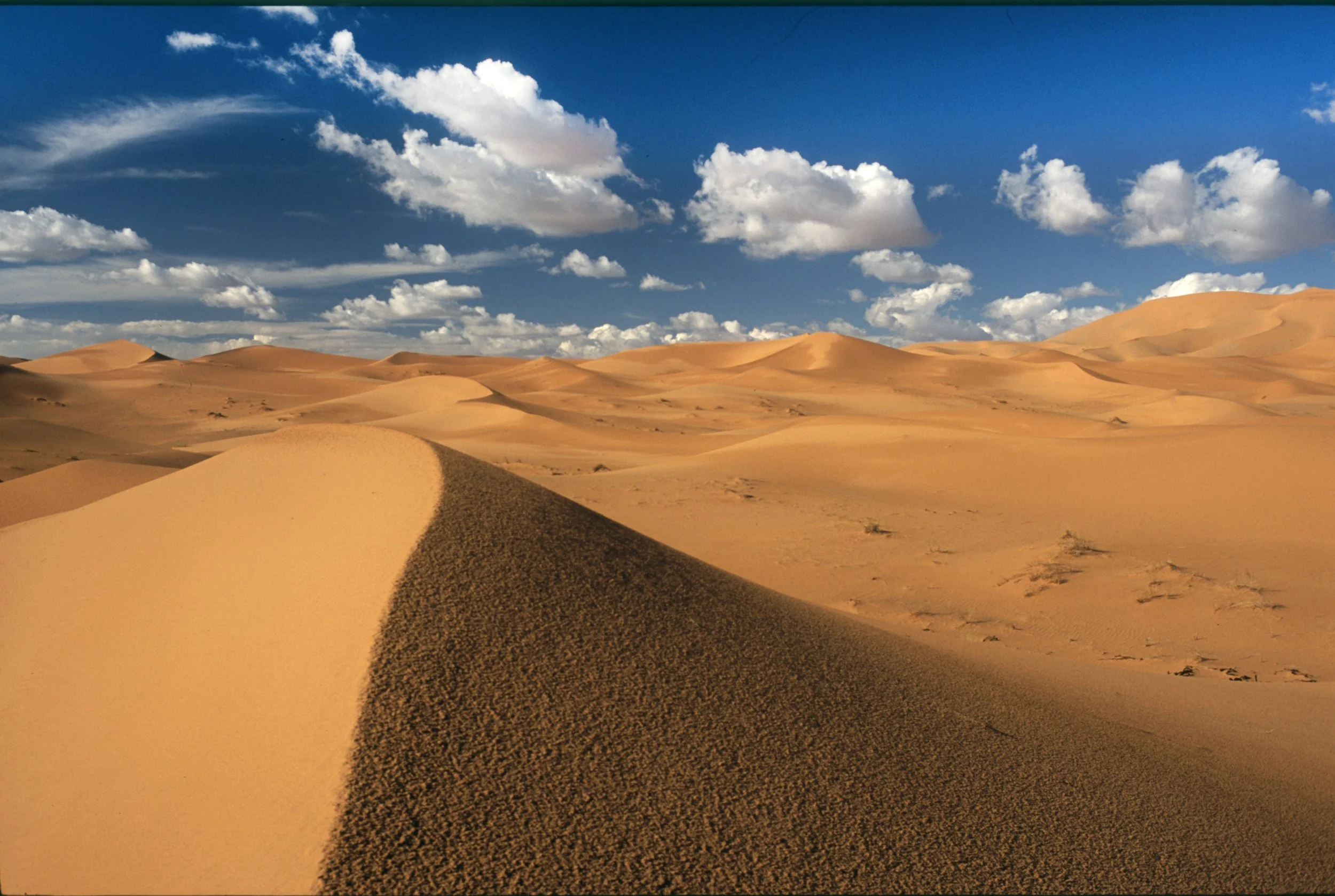 Copie-de-dune-Merzouga.jpg