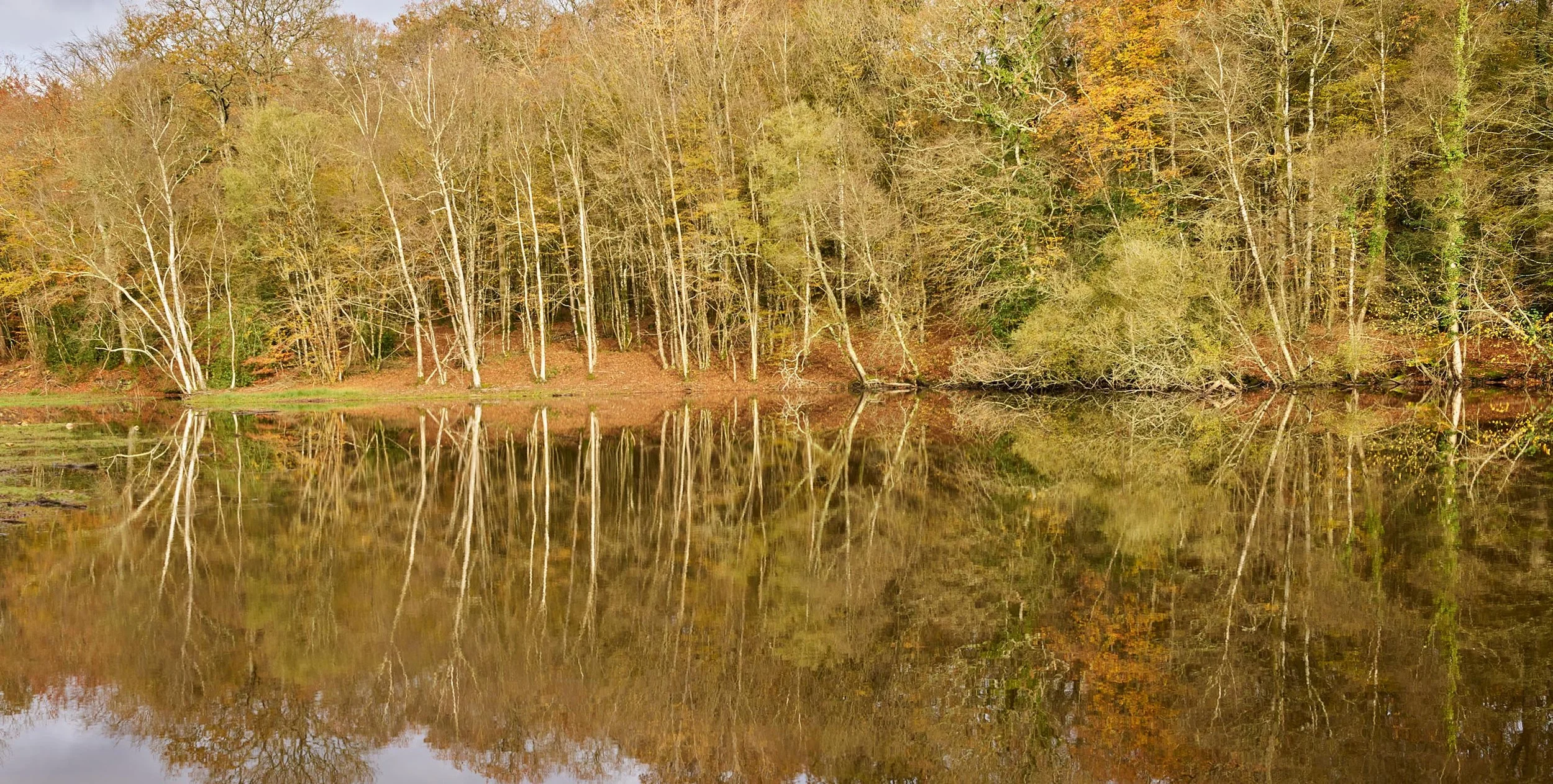 P0004721.jpg
