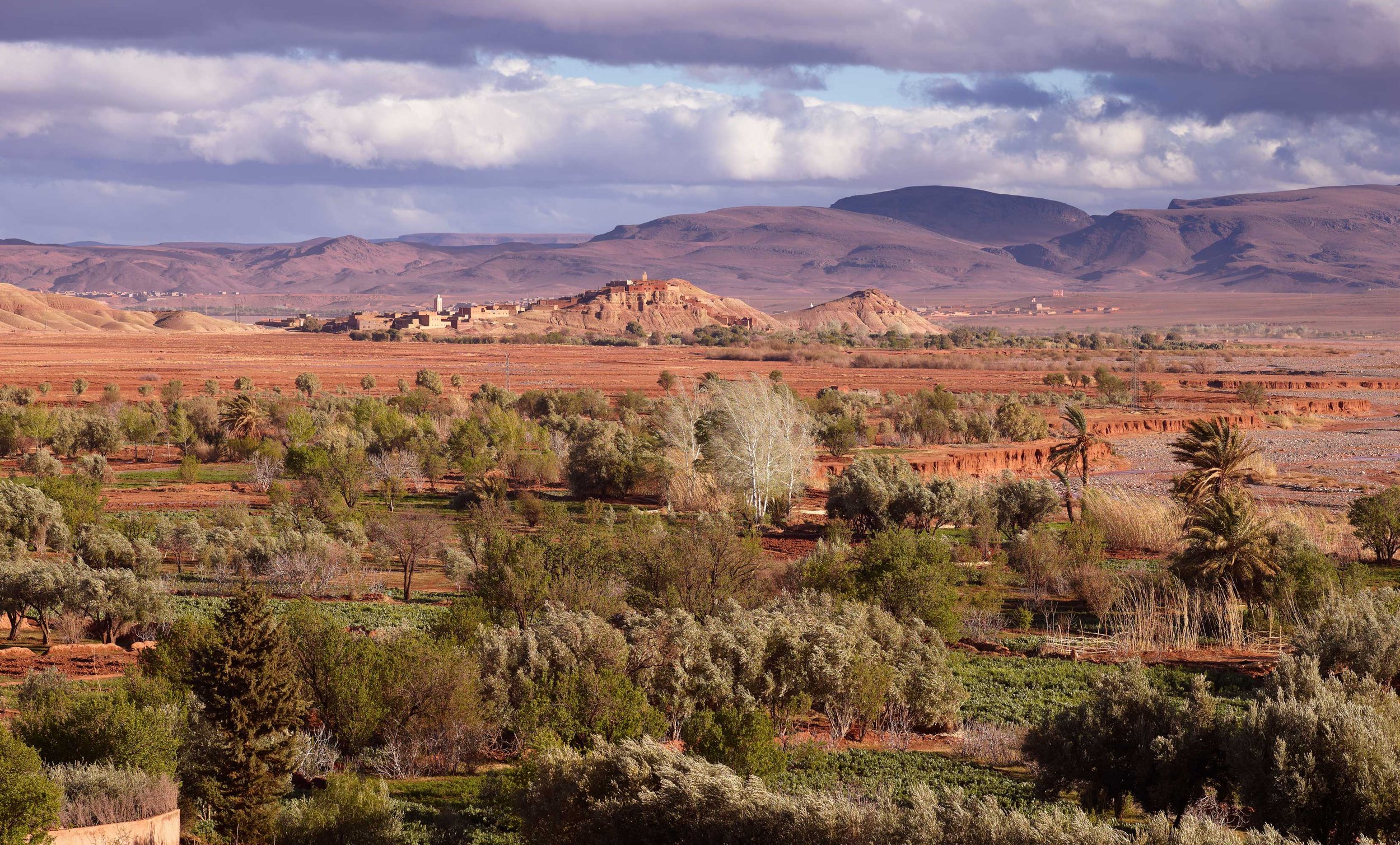 CF019603-1.jpg