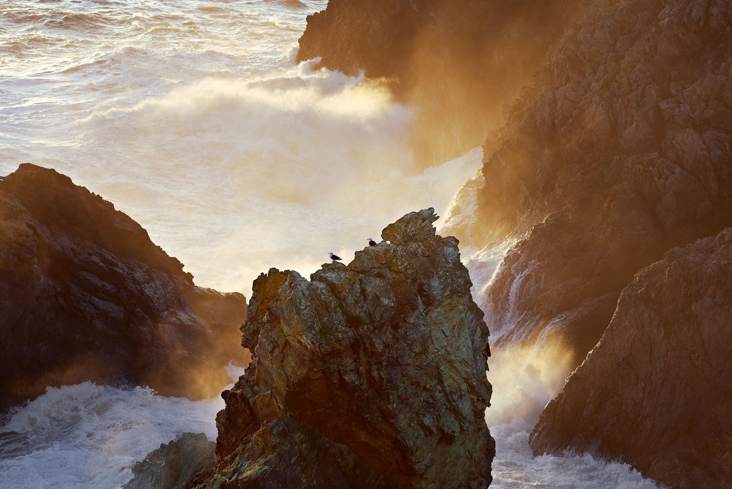 Vagues de mer frappant des rochers avec de la mousse blanche, sous une lumière dorée du coucher de soleil.