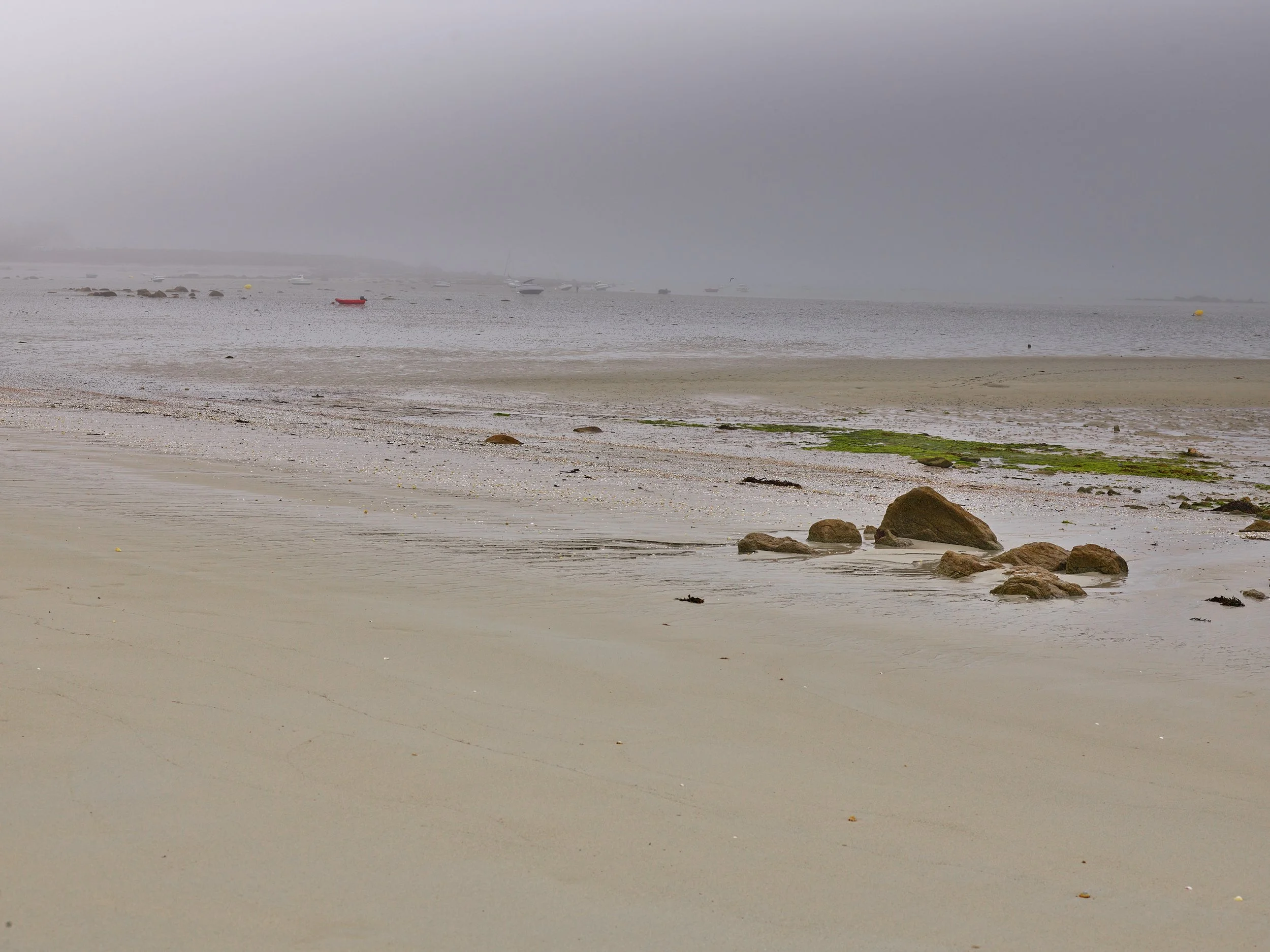 P0006554.jpg