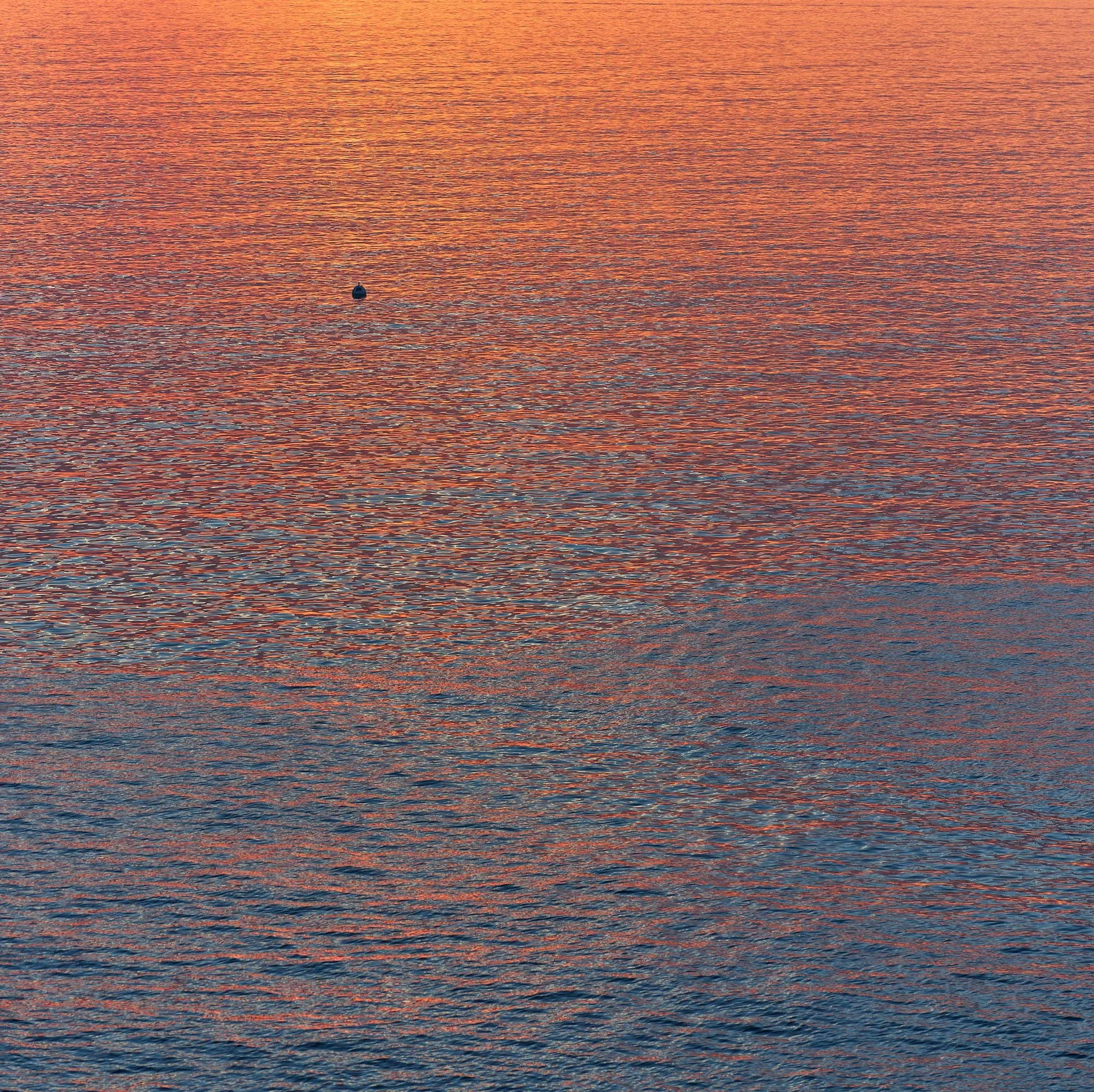 CF000472.jpg