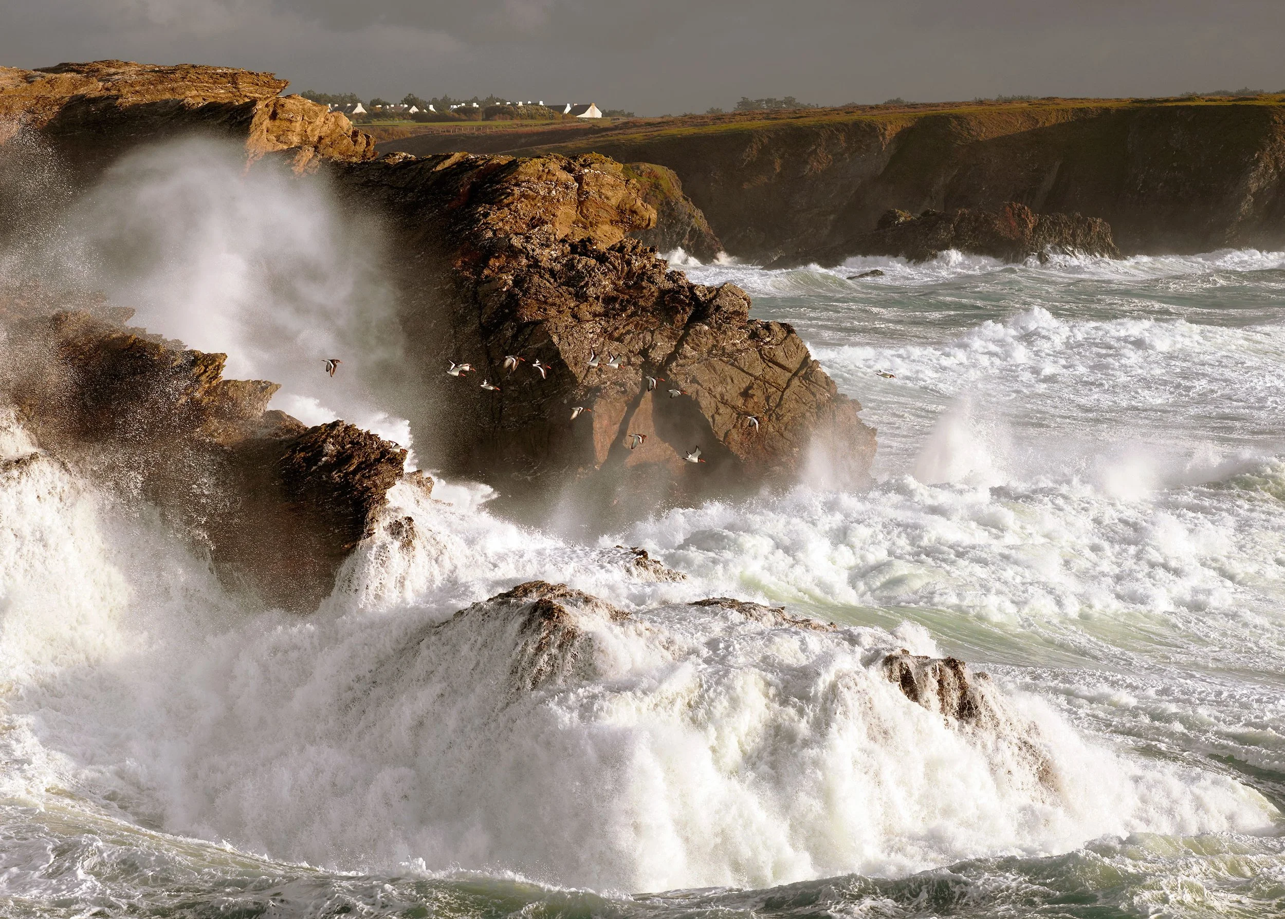 Vague de mer frappant des rochers rocheux avec des oiseaux volant au-dessus. De la terre et des maisons en arrière-plan sous un ciel nuageux.