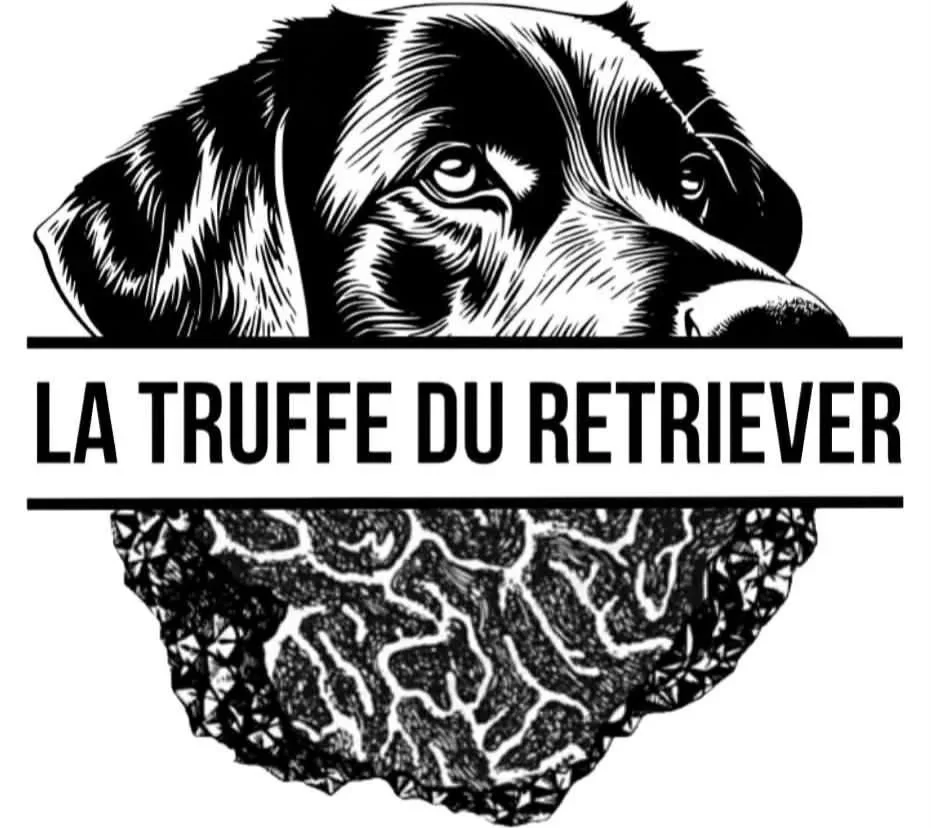 La Truffe du Retriever