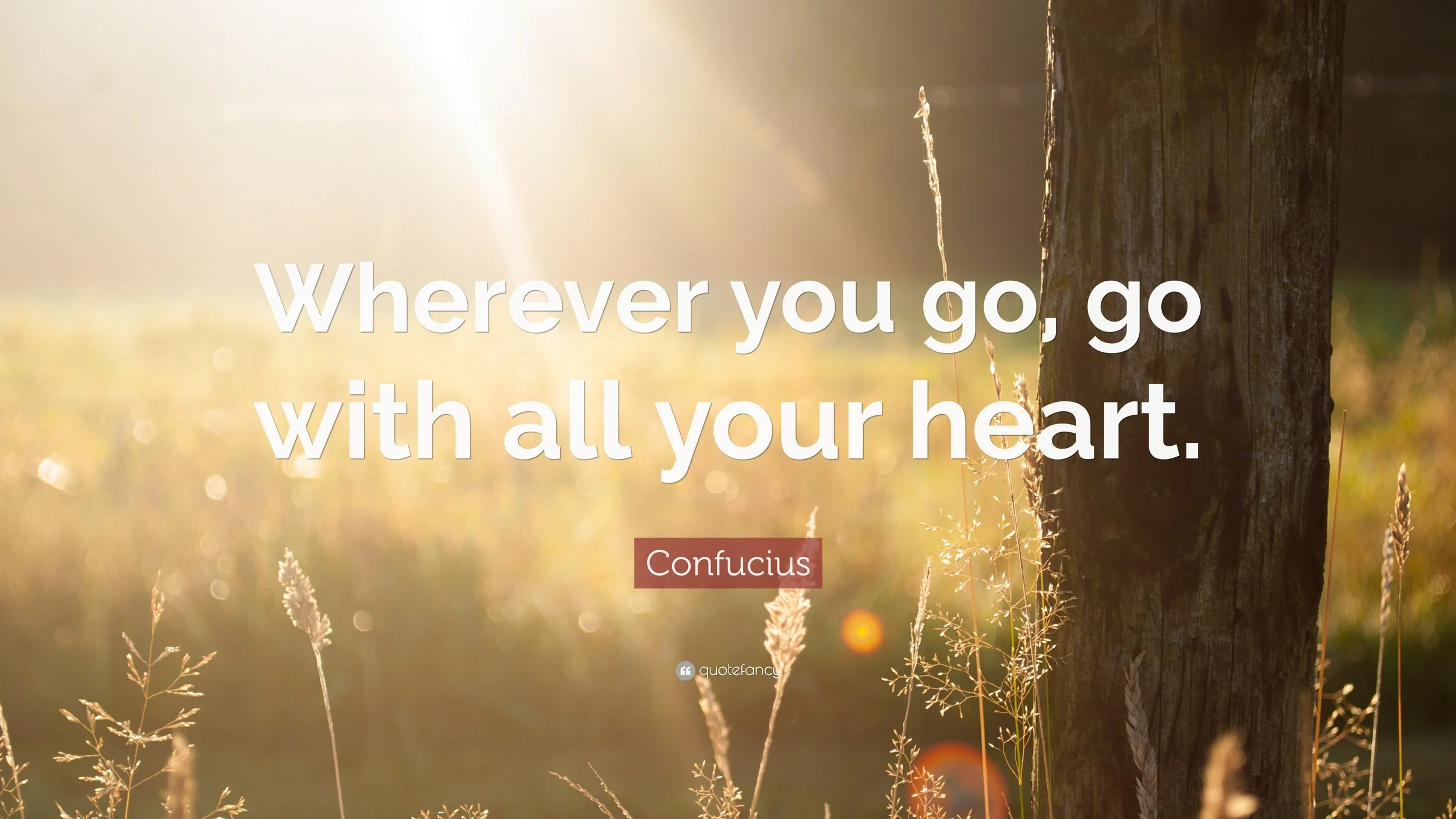 Go on an Adventure